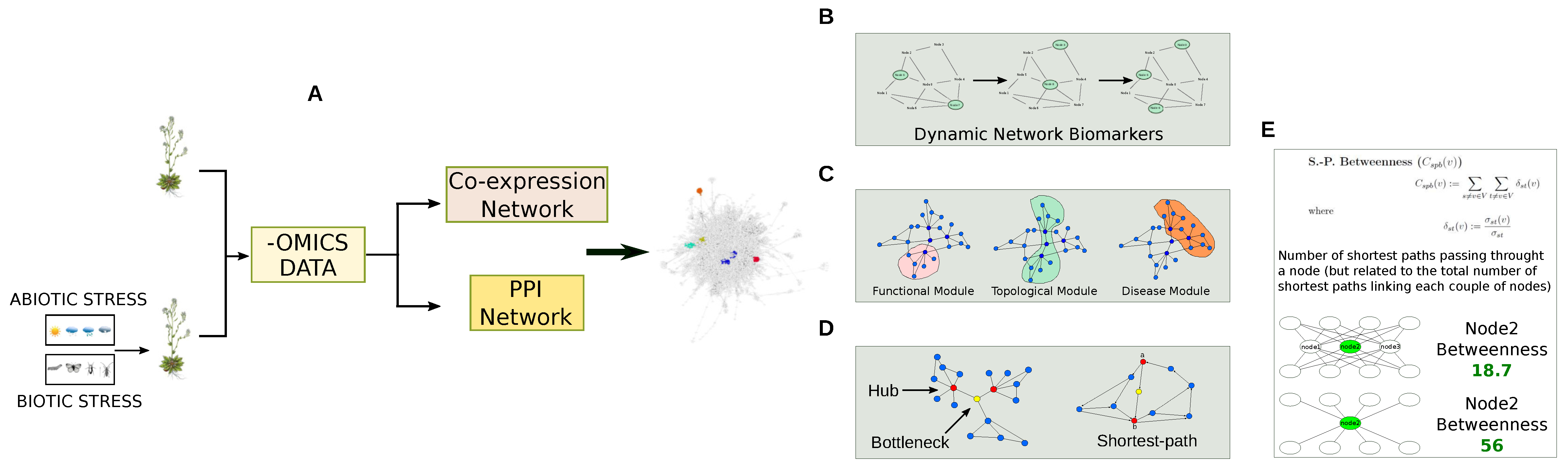 Proteomes 06 00027 g008