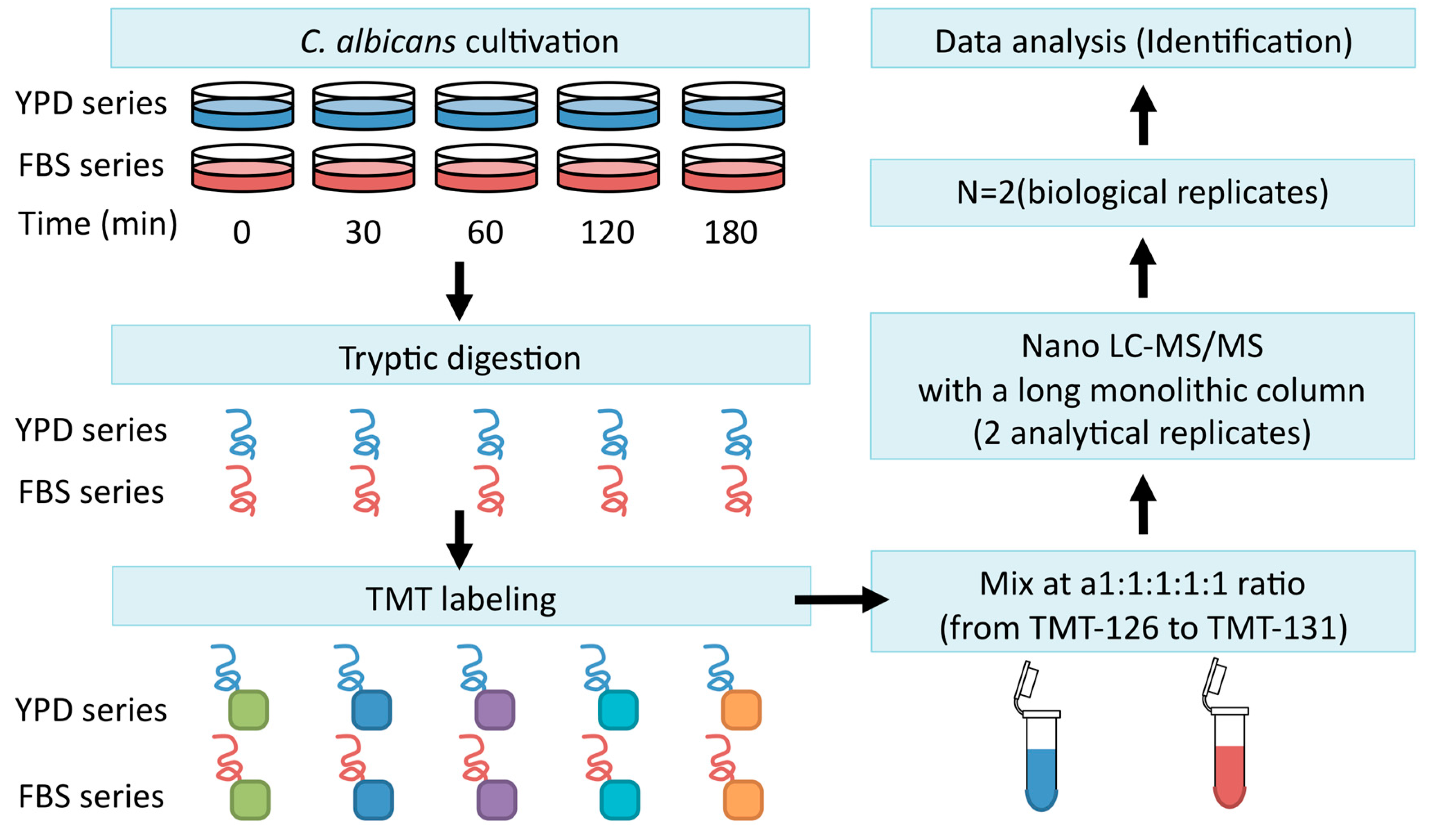 Proteomes 06 00034 g003