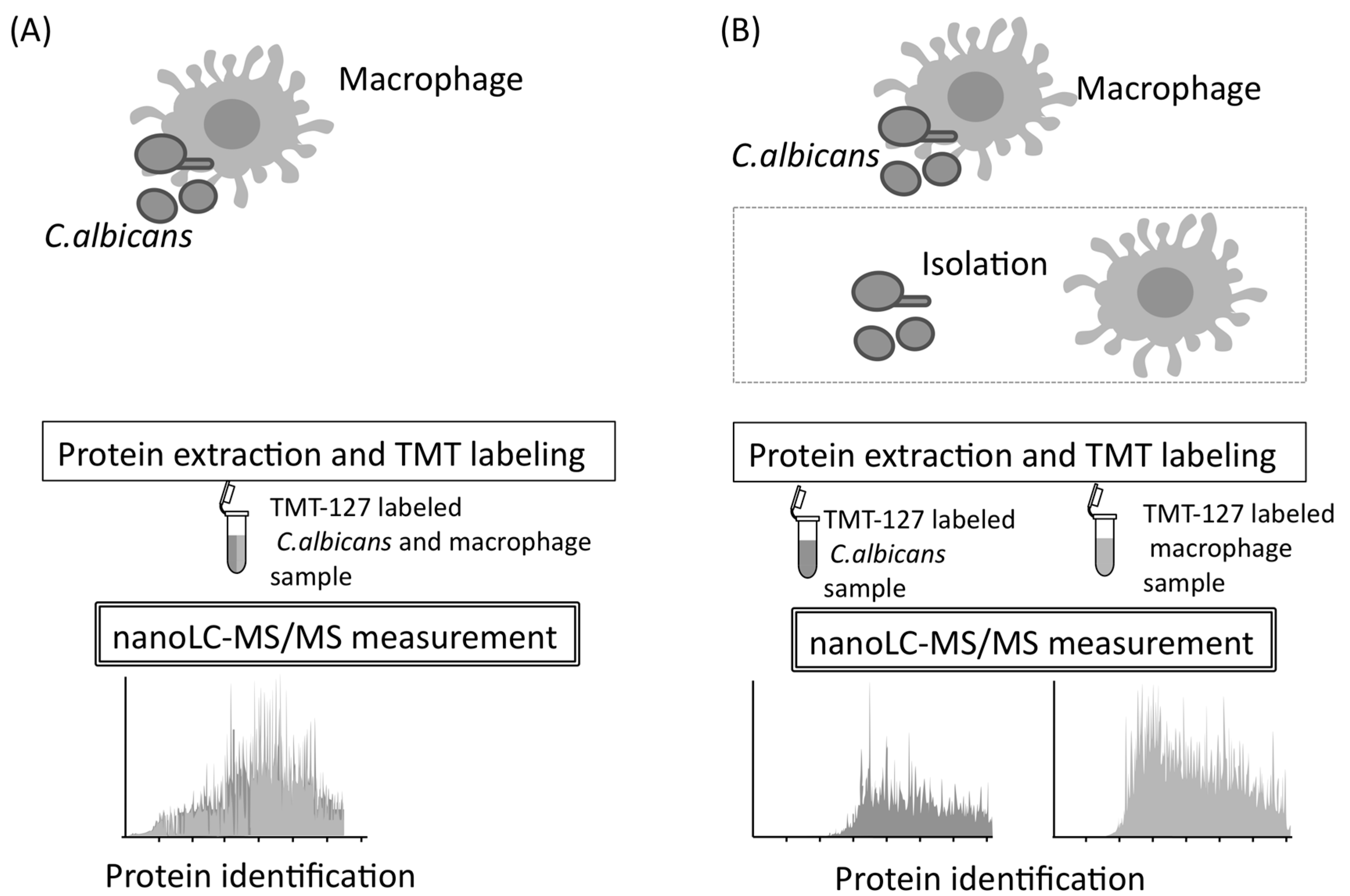 Proteomes 06 00034 g009