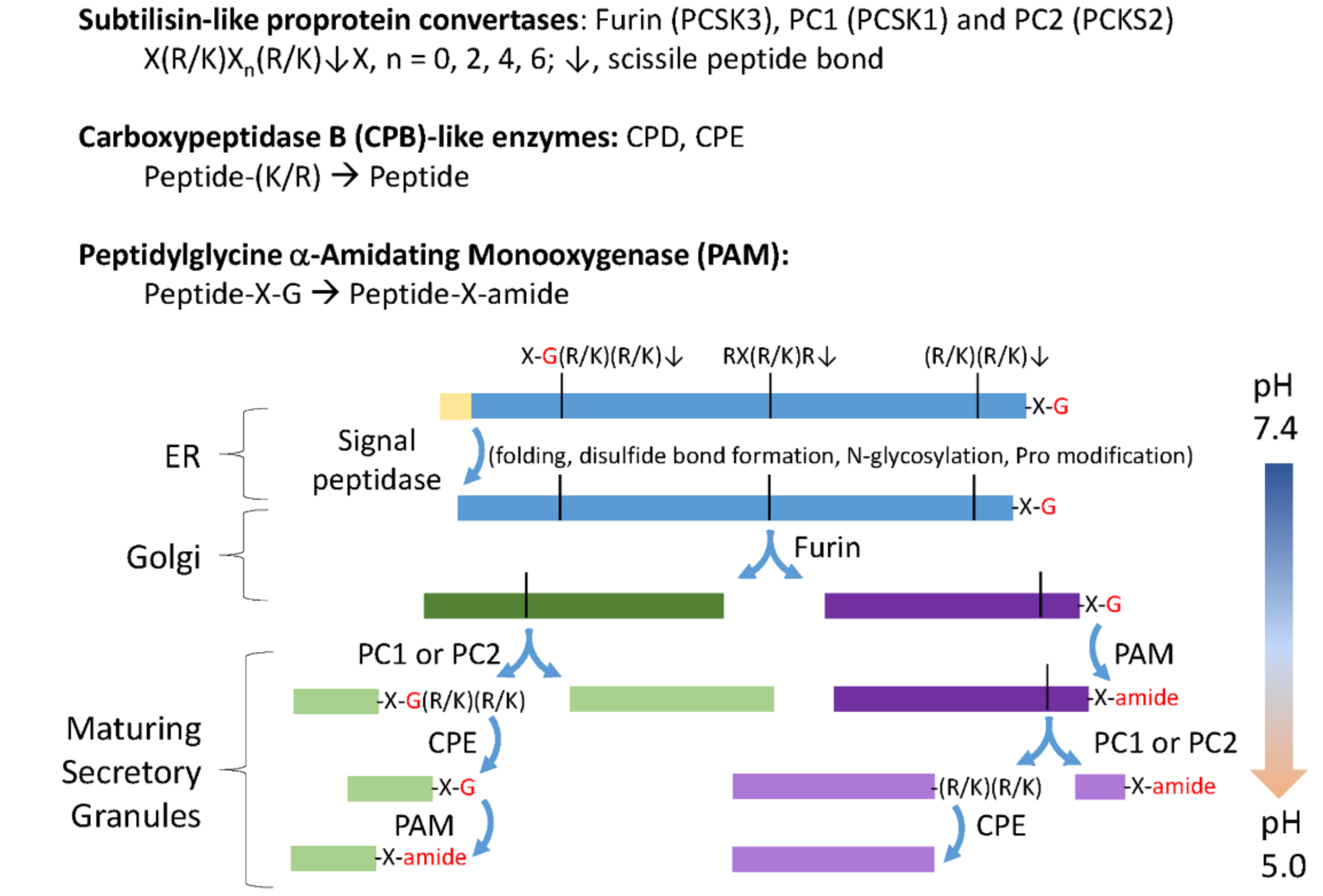 Proteomes 06 00036 g001 Proteomes 06 00036 g001