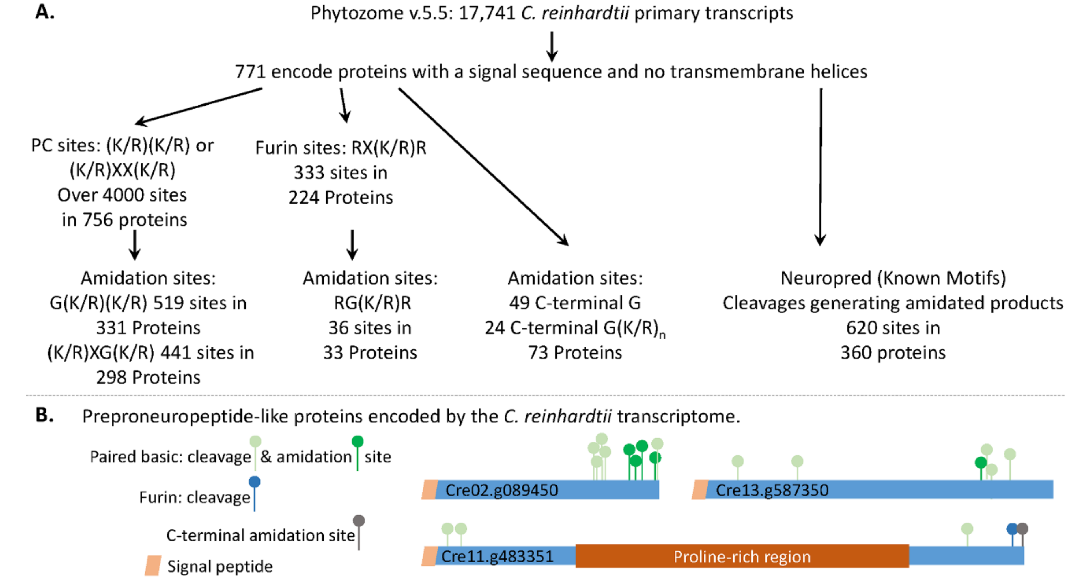 Proteomes 06 00036 g002 Proteomes 06 00036 g002