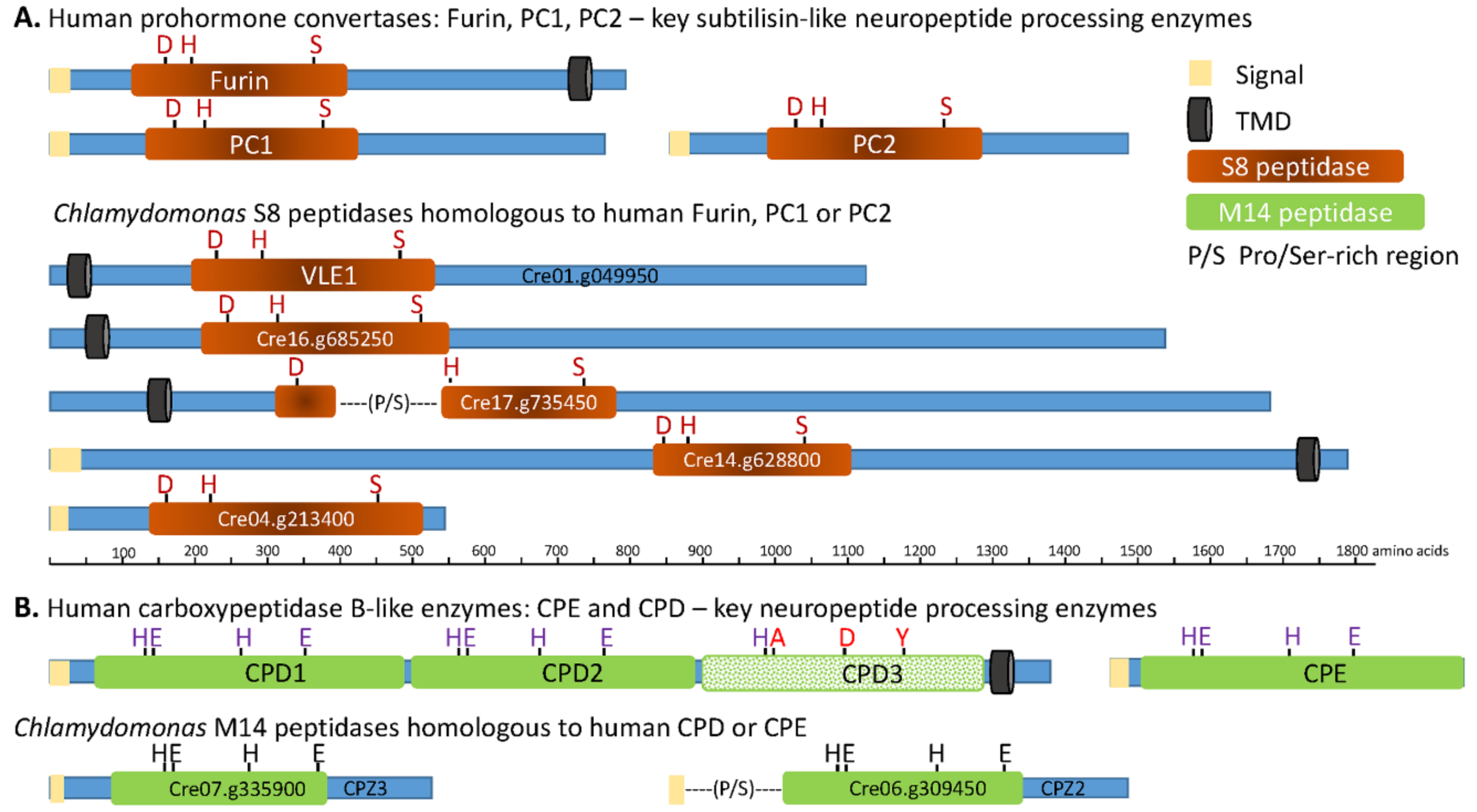 Proteomes 06 00036 g003 Proteomes 06 00036 g003
