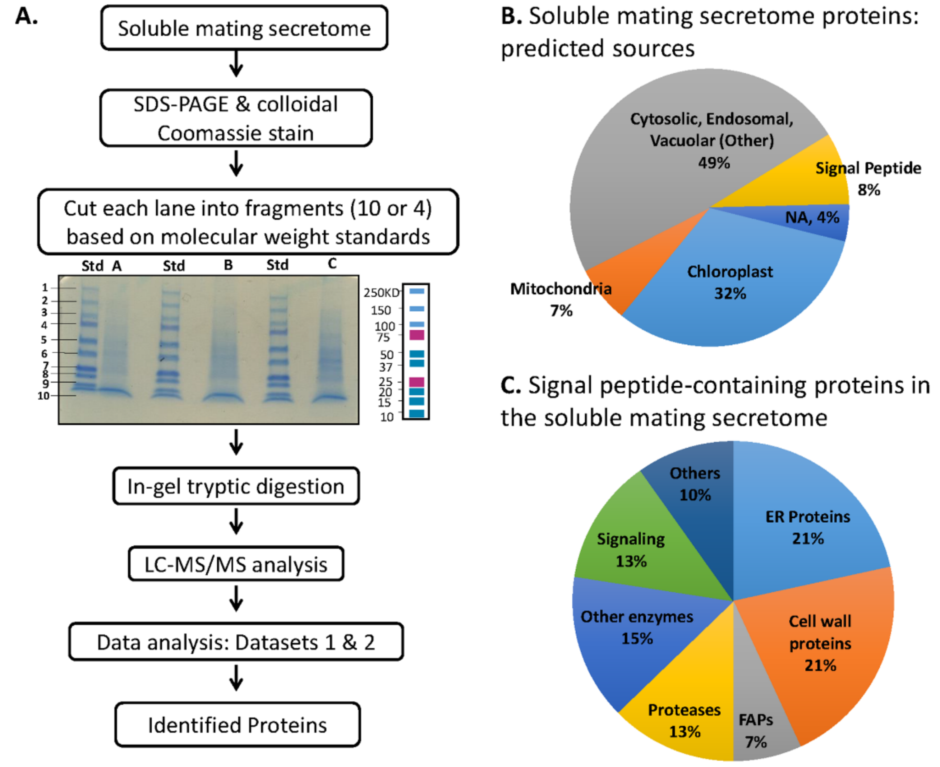 Proteomes 06 00036 g005 Proteomes 06 00036 g005