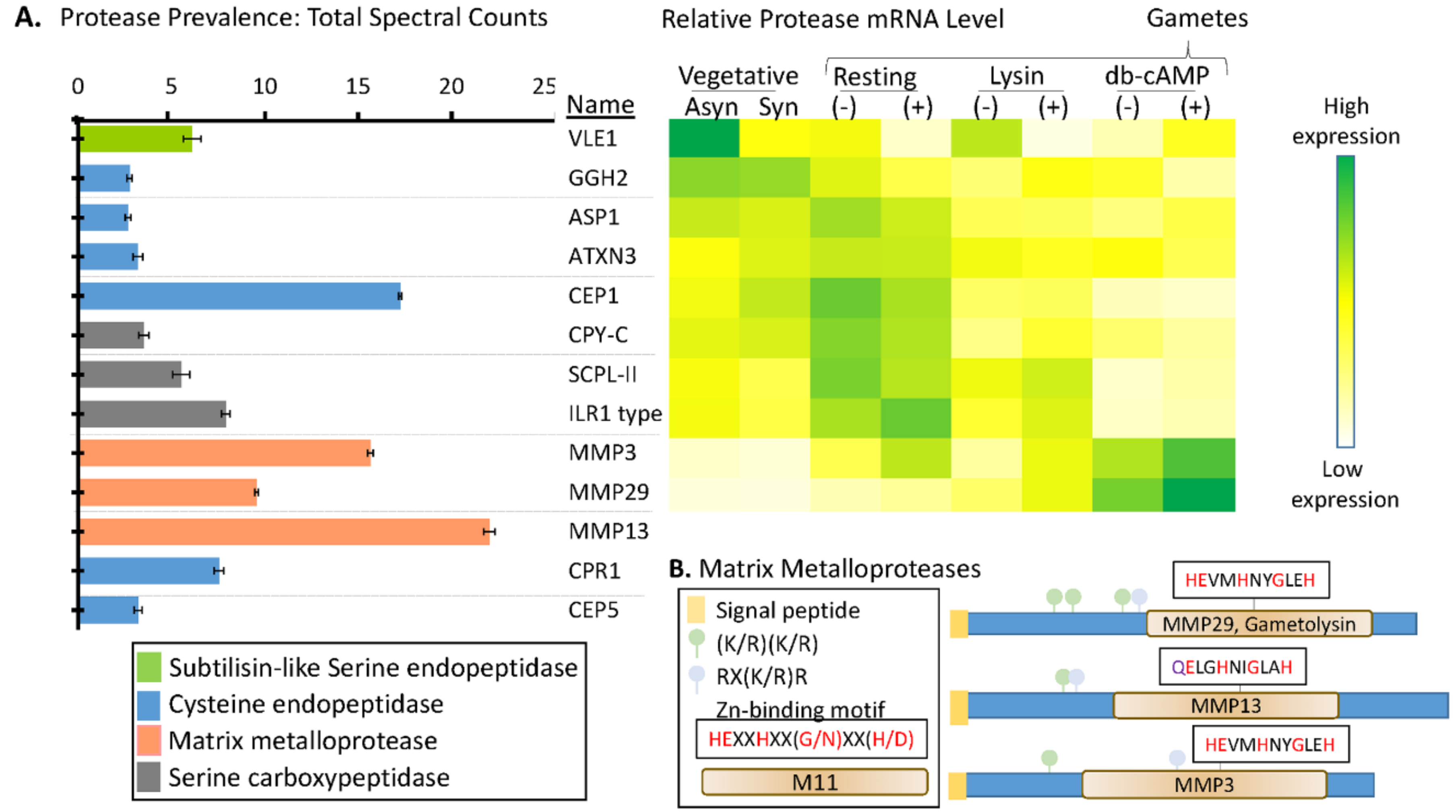 Proteomes 06 00036 g006 Proteomes 06 00036 g006