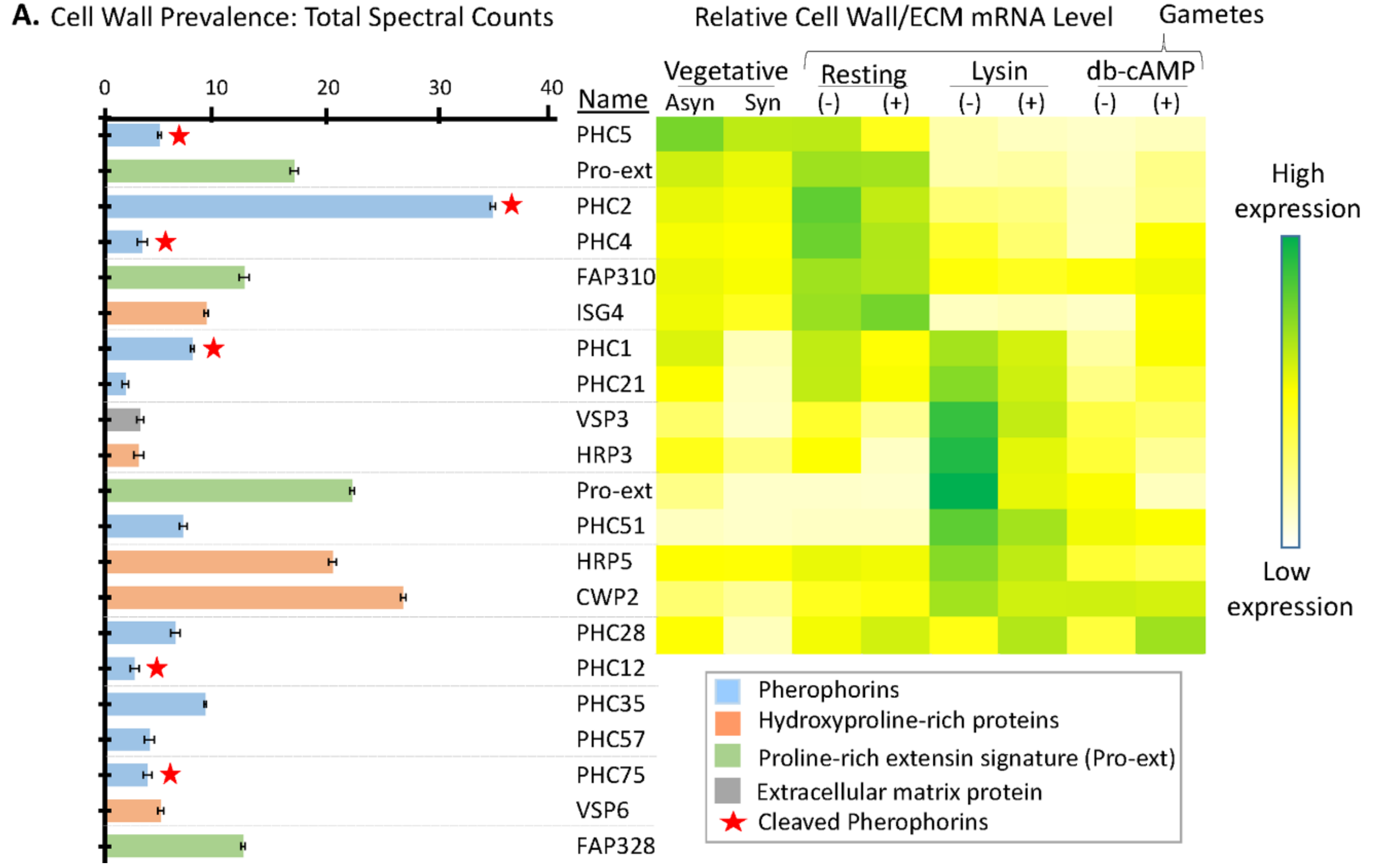 Proteomes 06 00036 g007 Proteomes 06 00036 g007