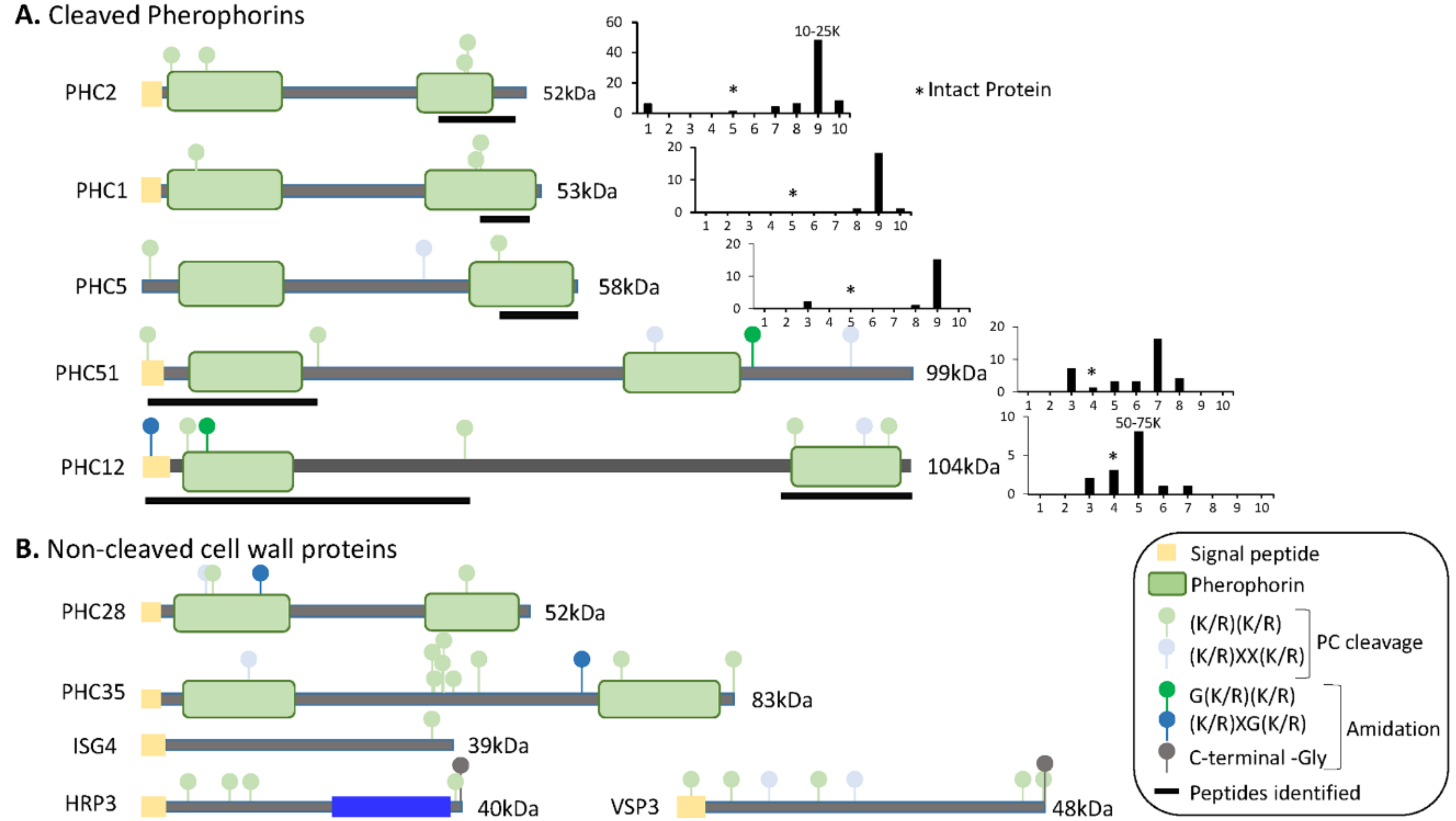 Proteomes 06 00036 g008 Proteomes 06 00036 g008