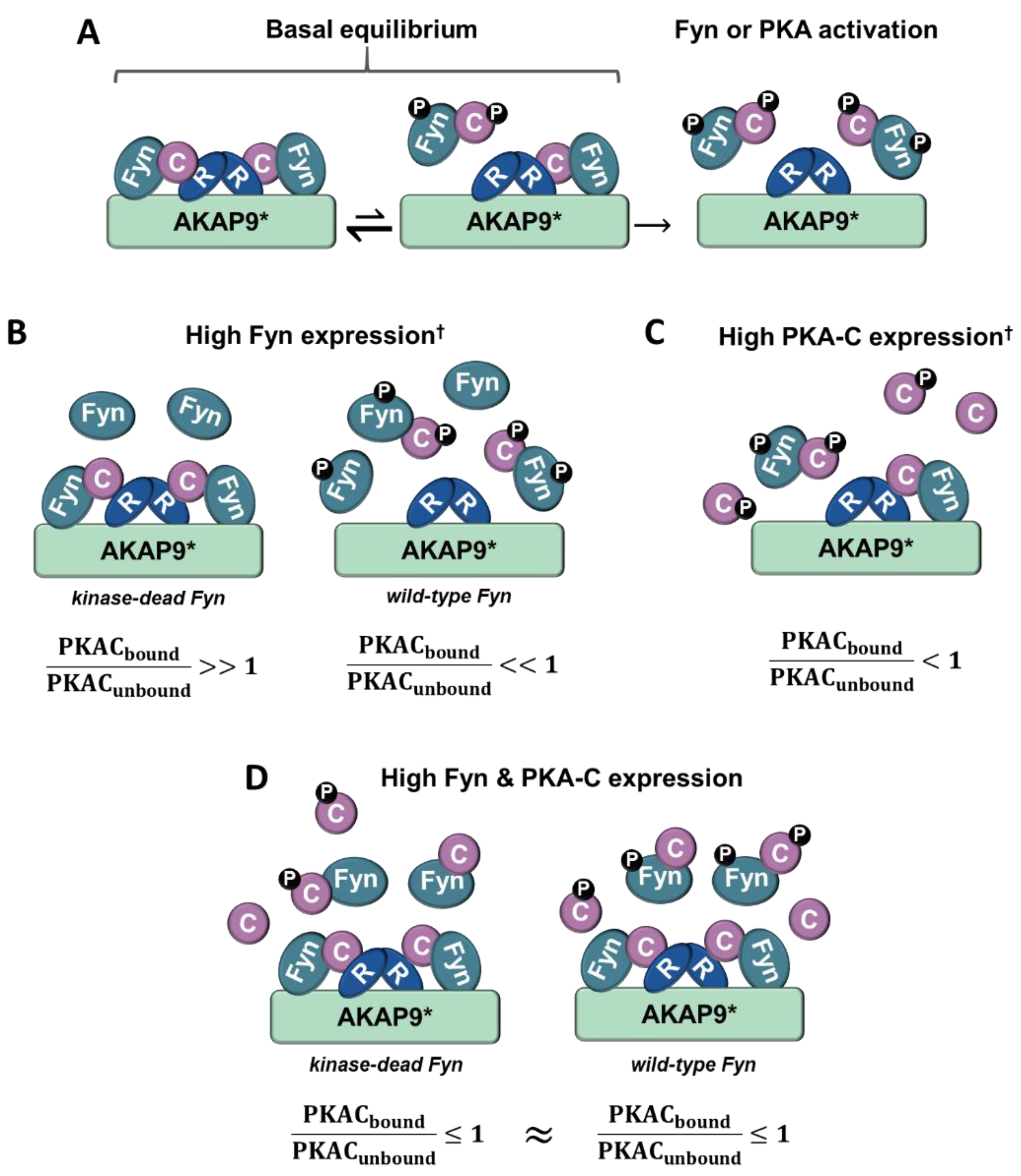 Proteomes 06 00037 g008 Proteomes 06 00037 g008