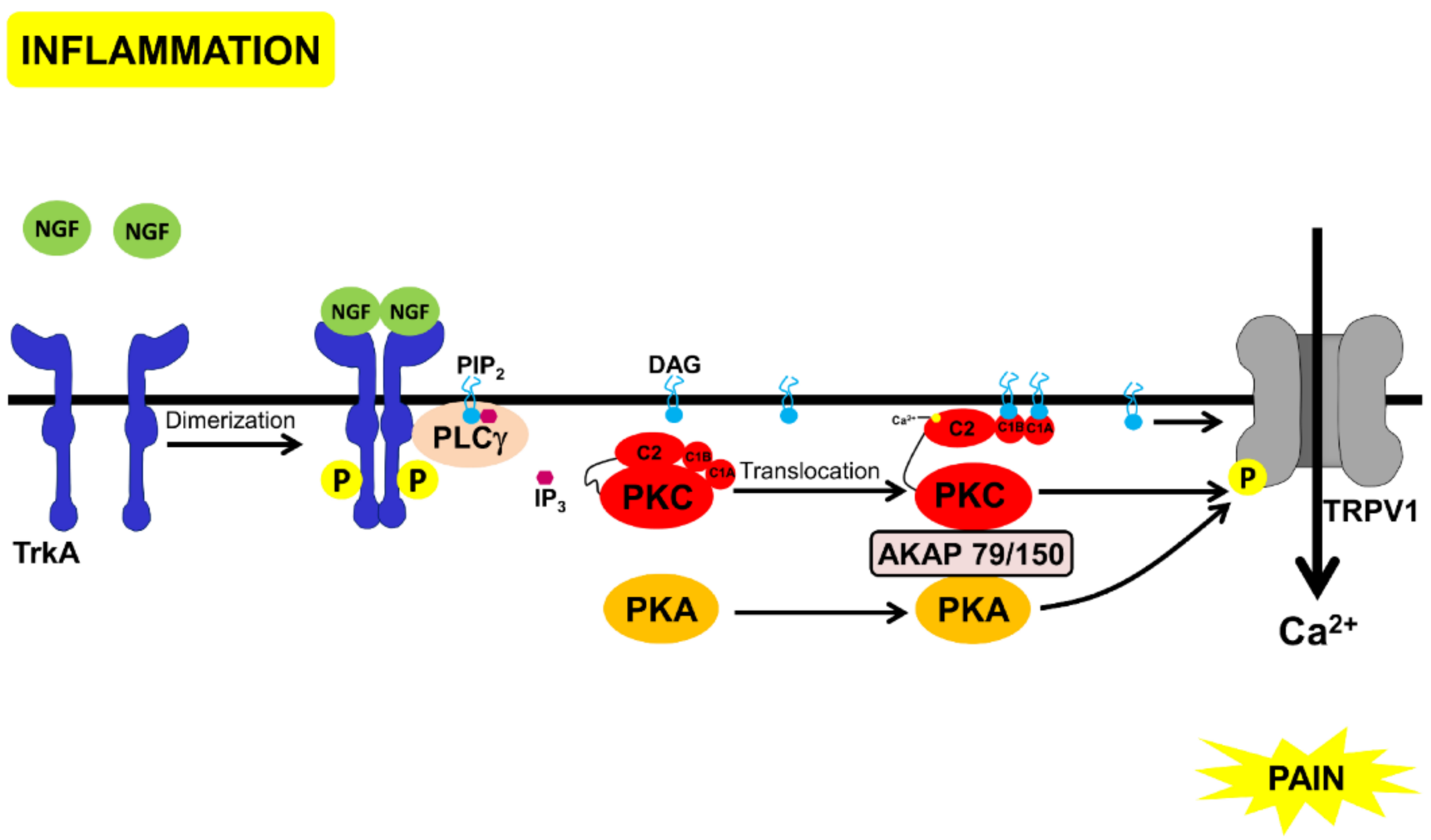 Proteomes 06 00039 g001