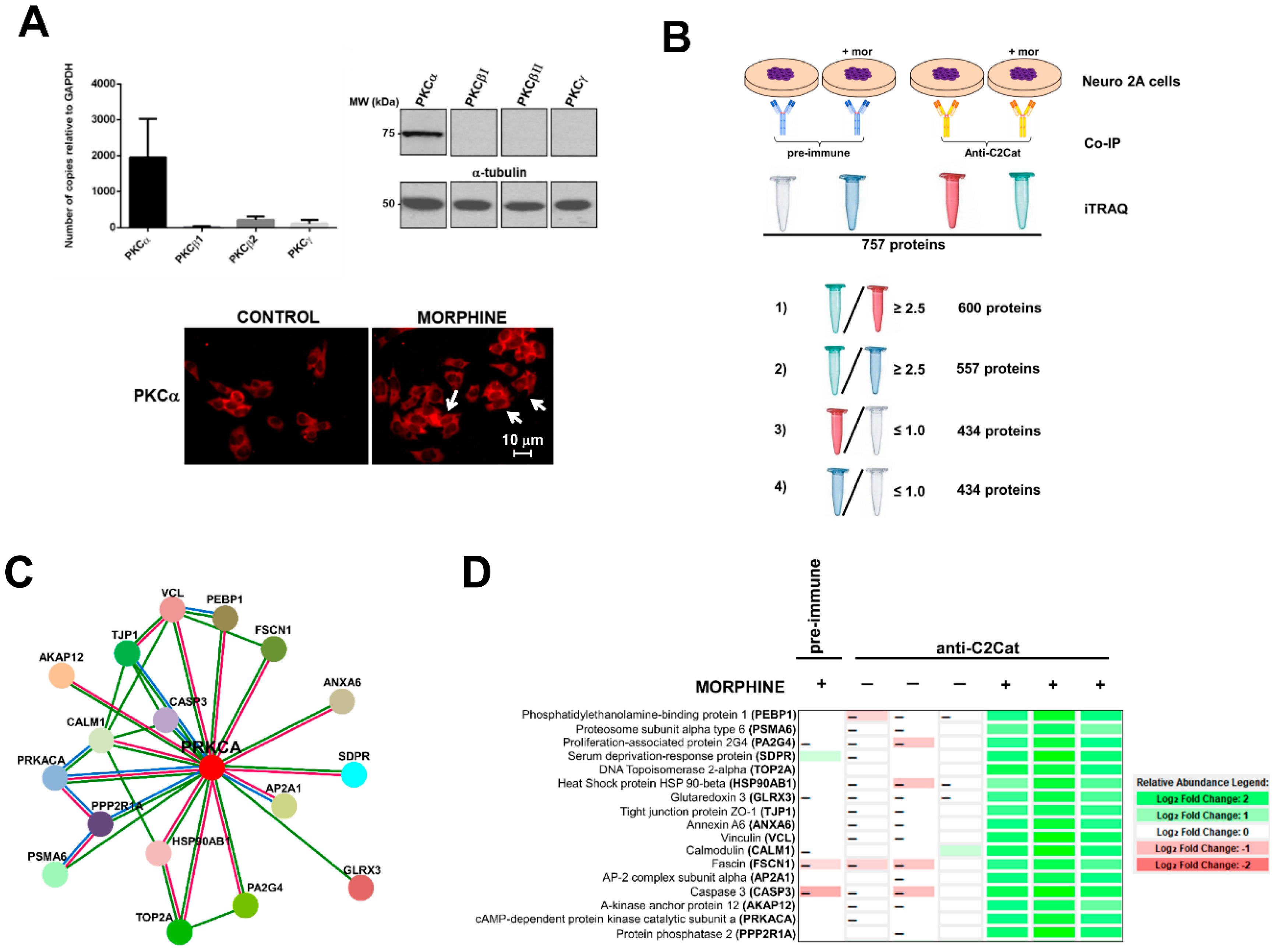 Proteomes 06 00039 g003