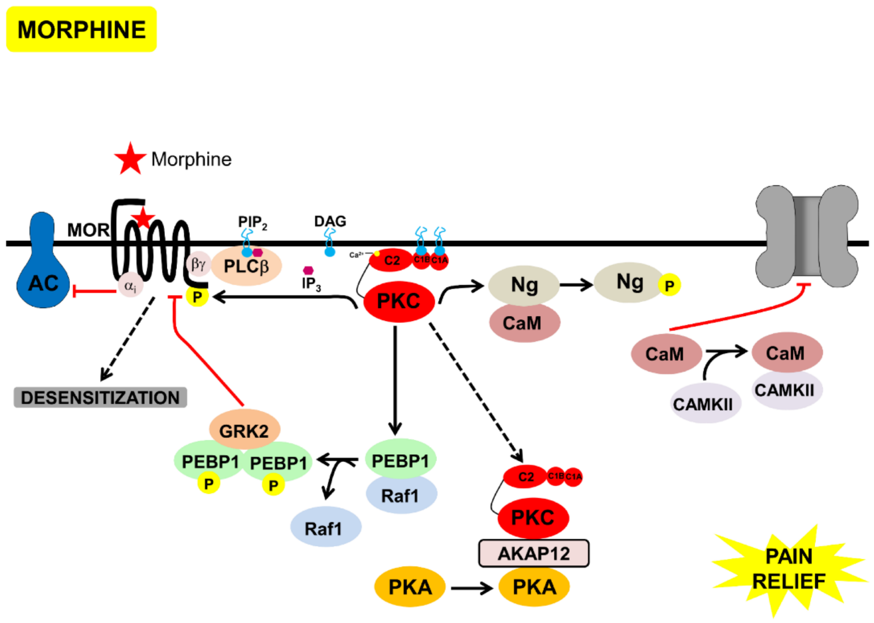 Proteomes 06 00039 g004