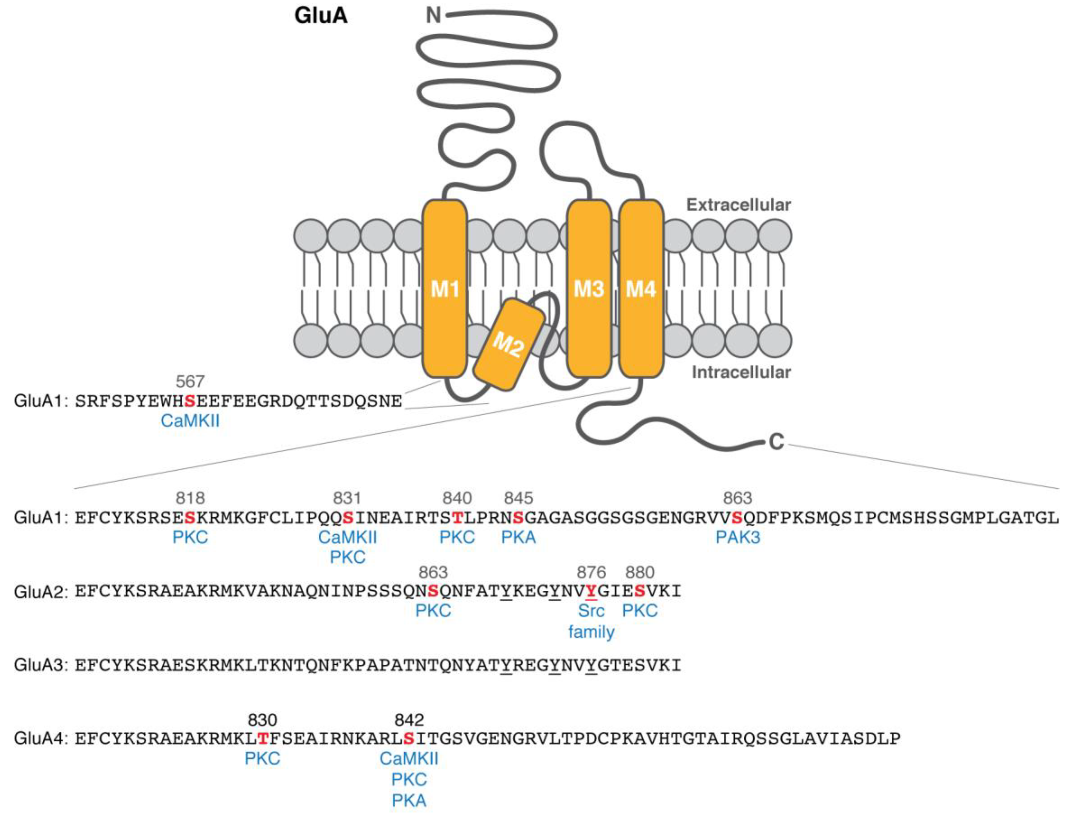 Proteomes 06 00040 g001