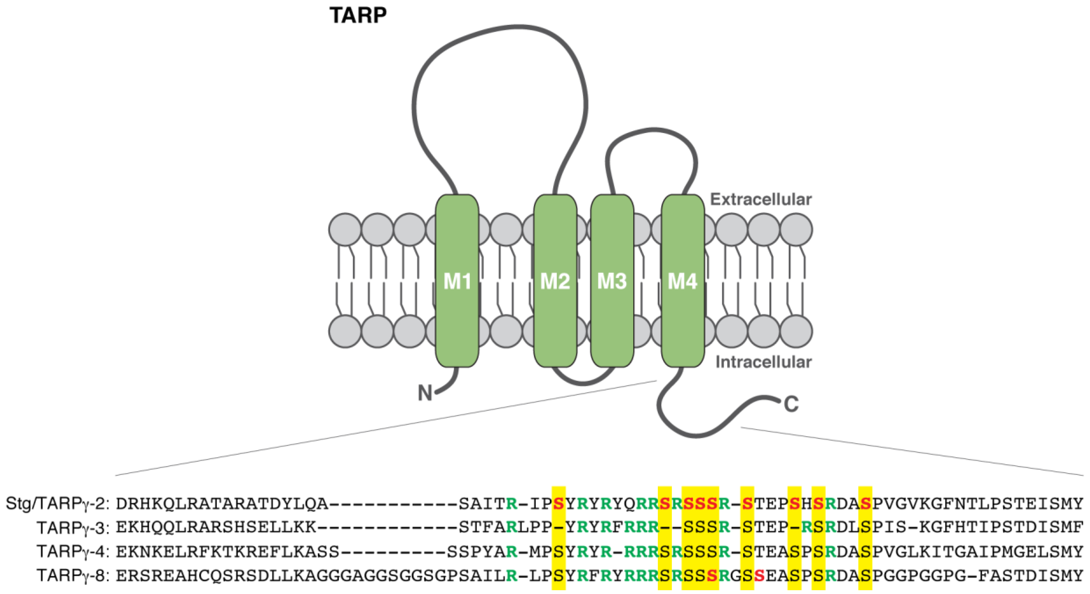 Proteomes 06 00040 g002