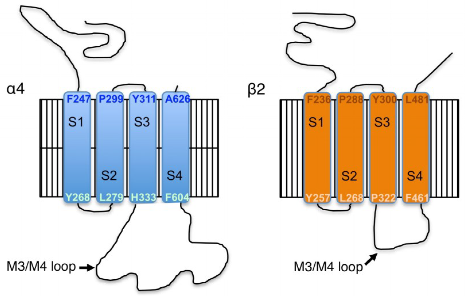 Proteomes 06 00042 g001