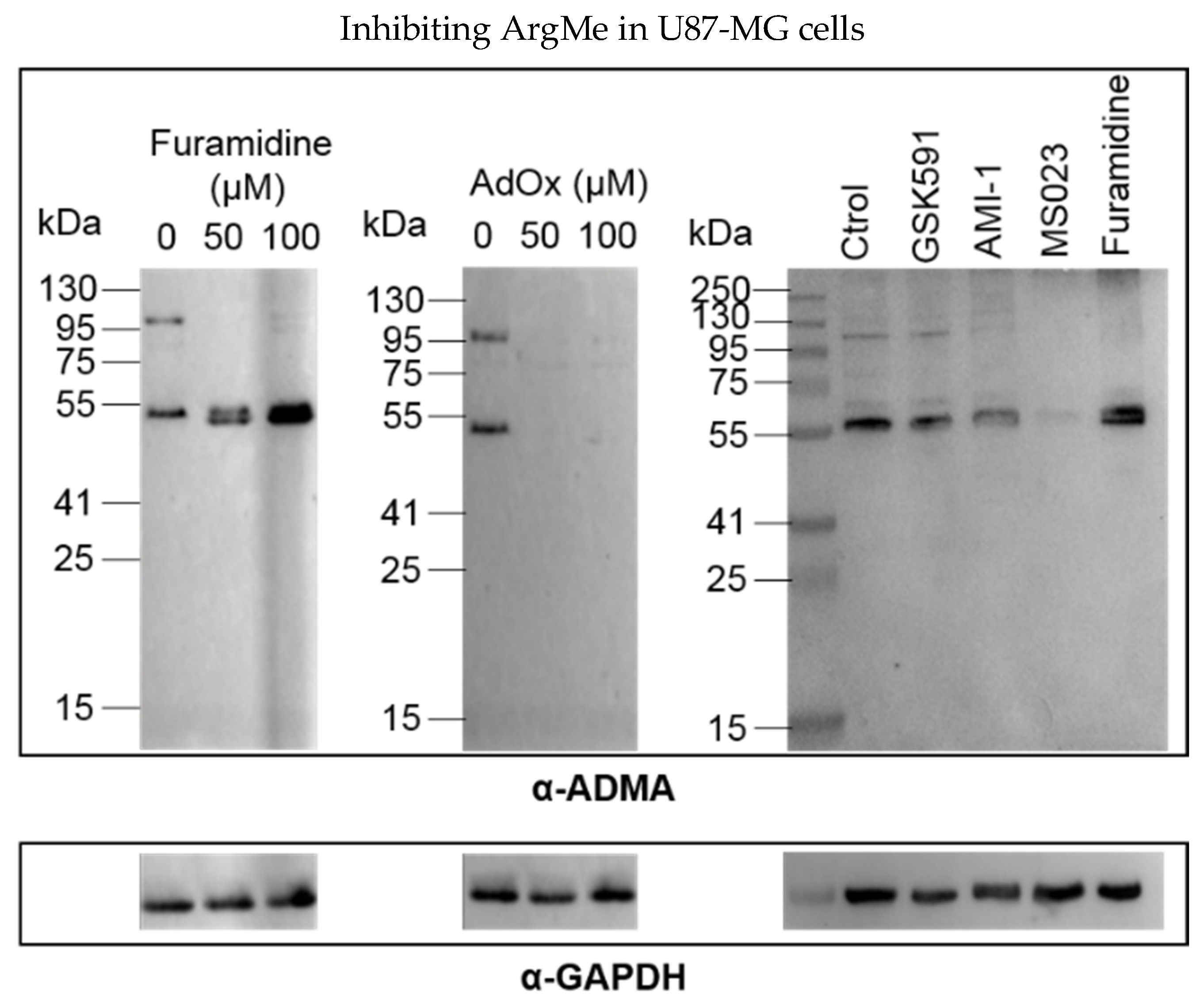 Proteomes 06 00044 g002
