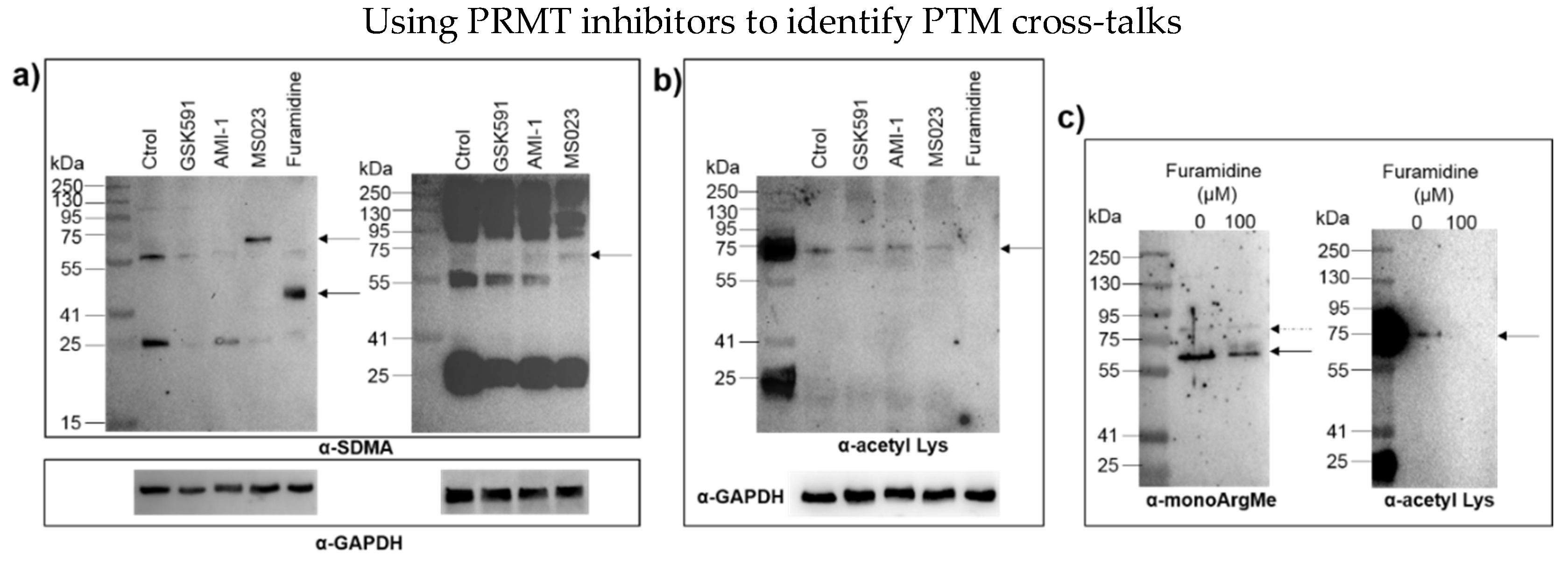 Proteomes 06 00044 g003
