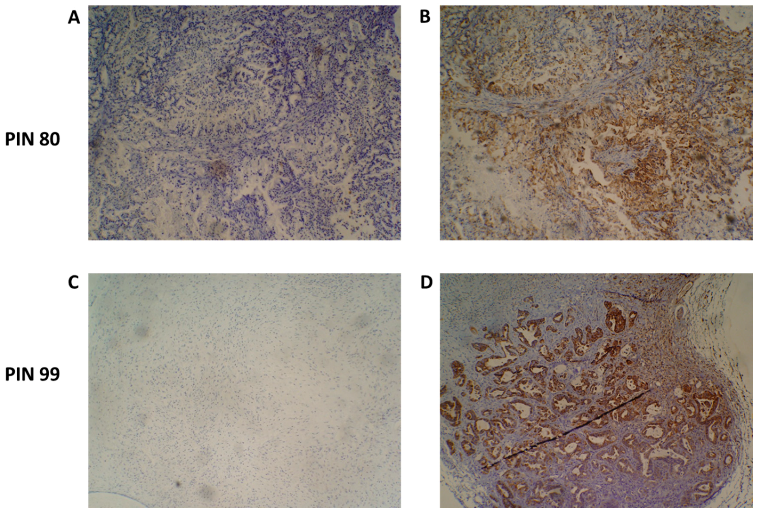 Proteomes 06 00045 g004