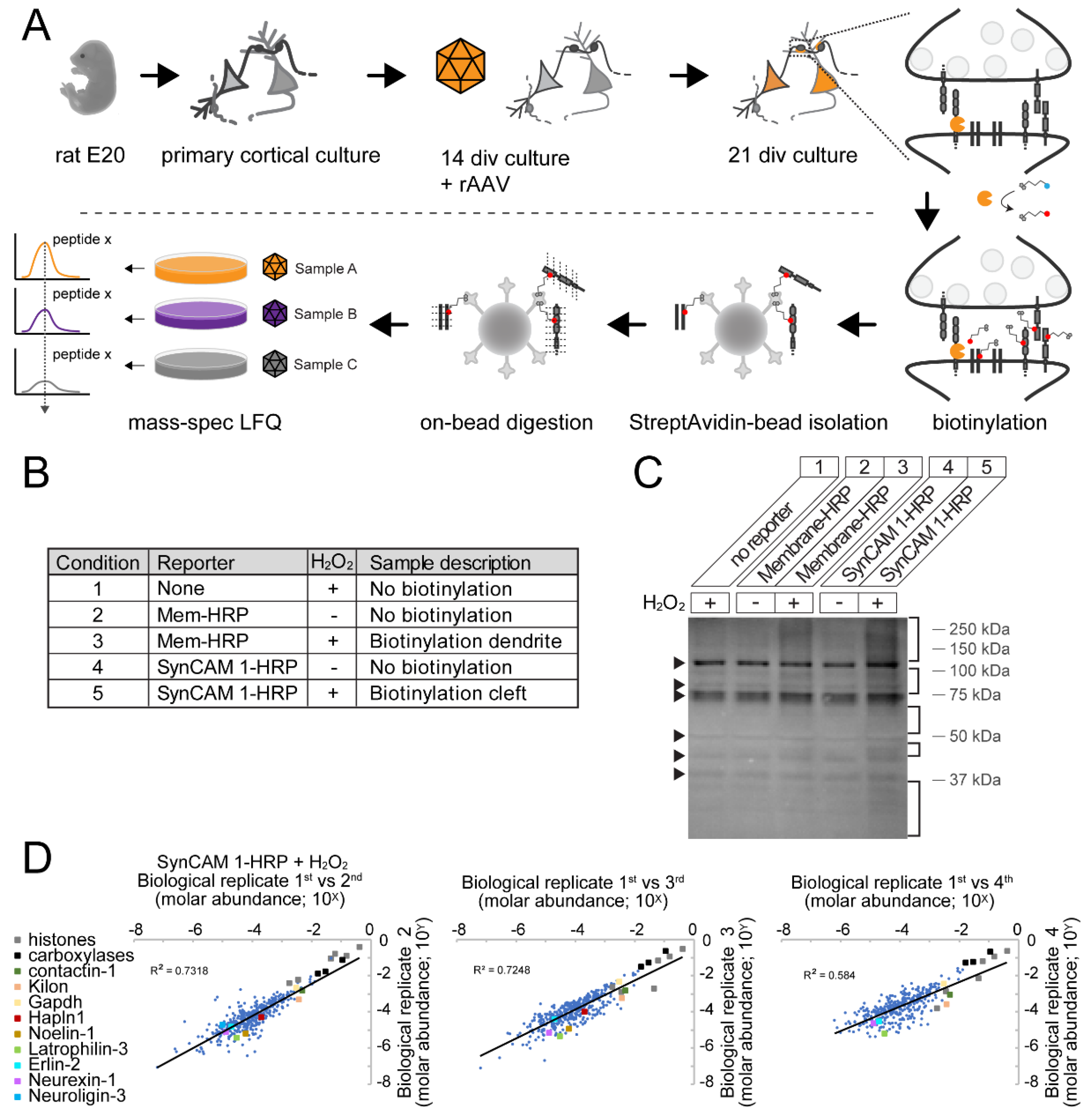 Proteomes 06 00048 g003