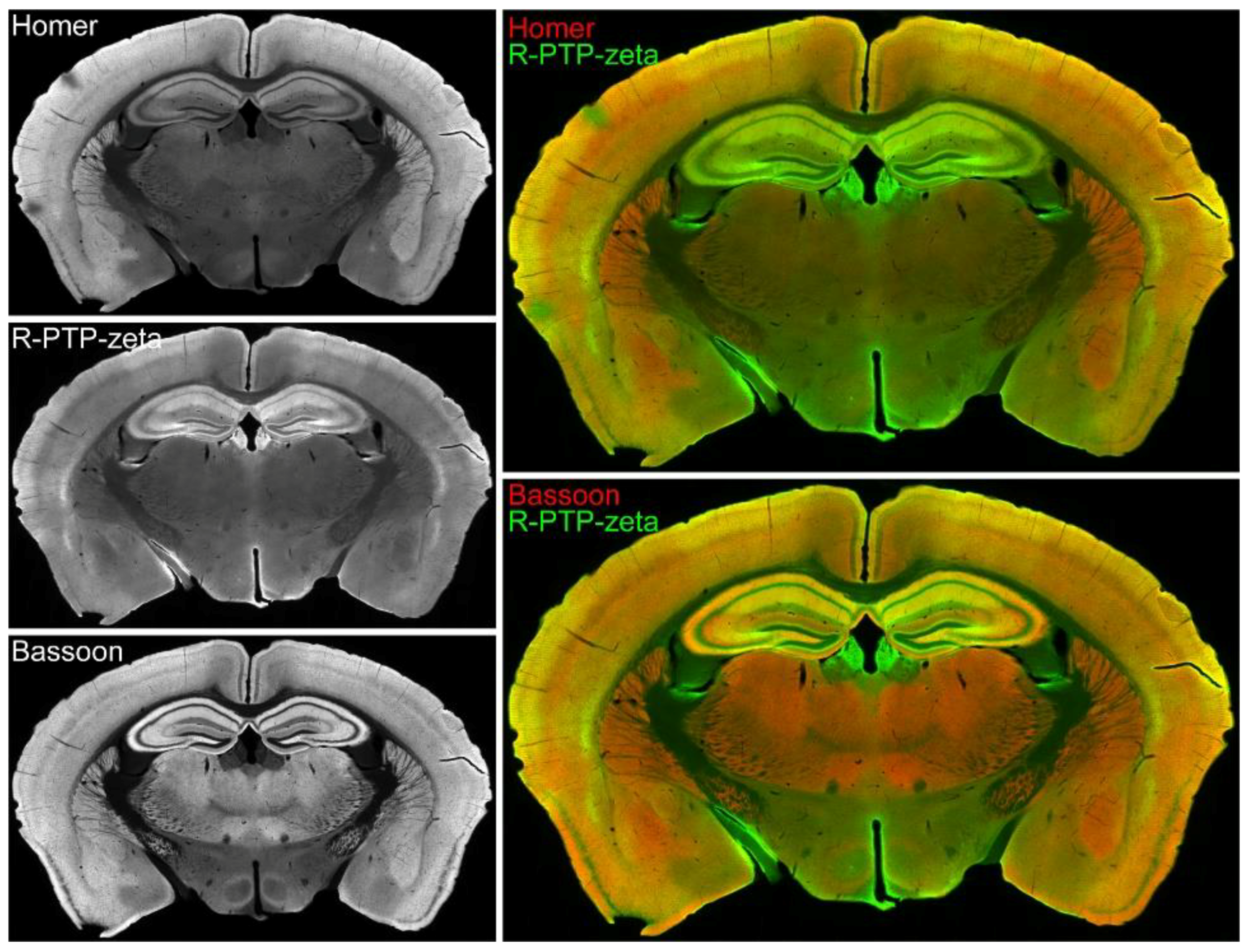 Proteomes 06 00048 g006