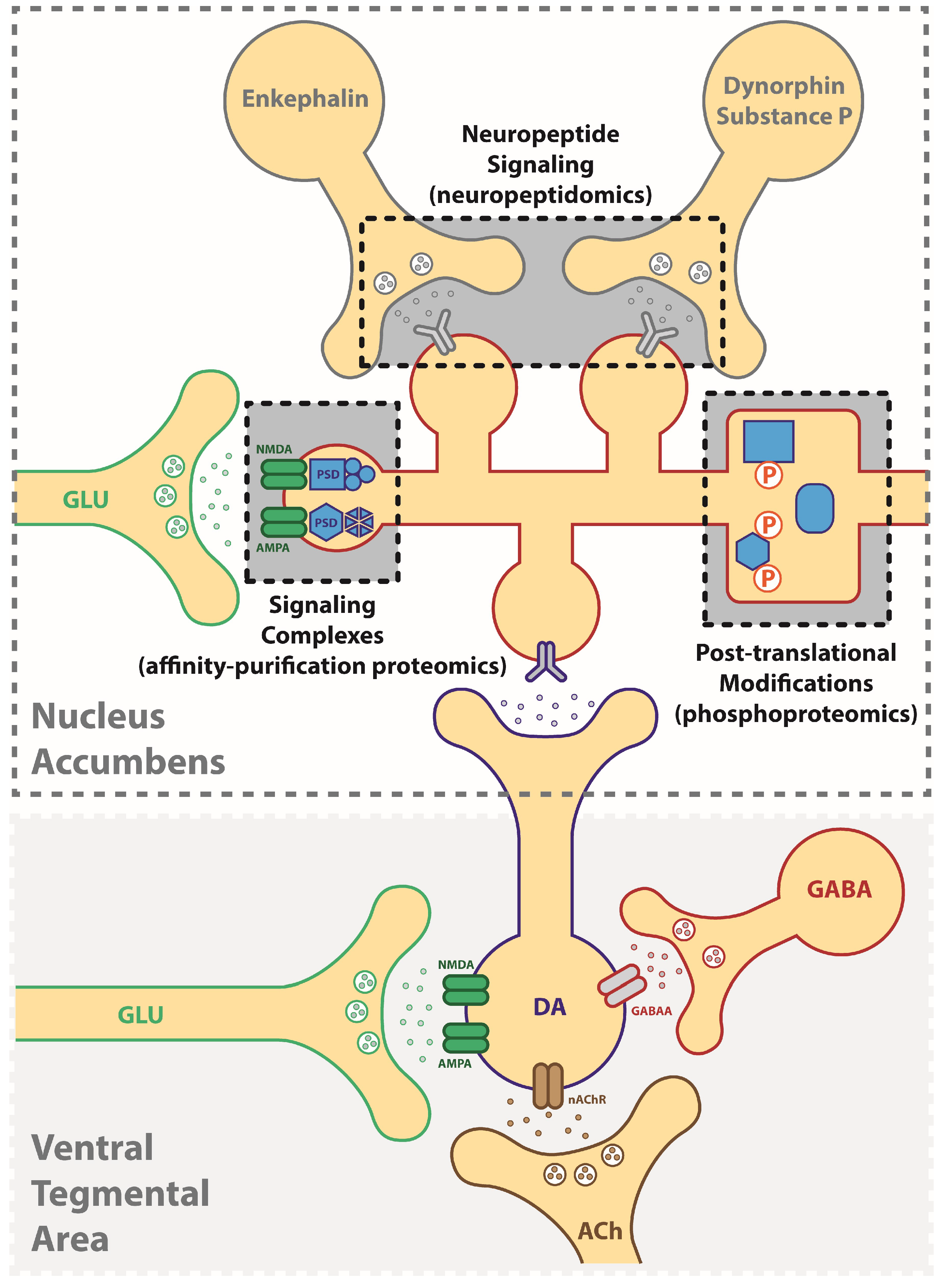 Proteomes 06 00050 g001 Proteomes 06 00050 g001