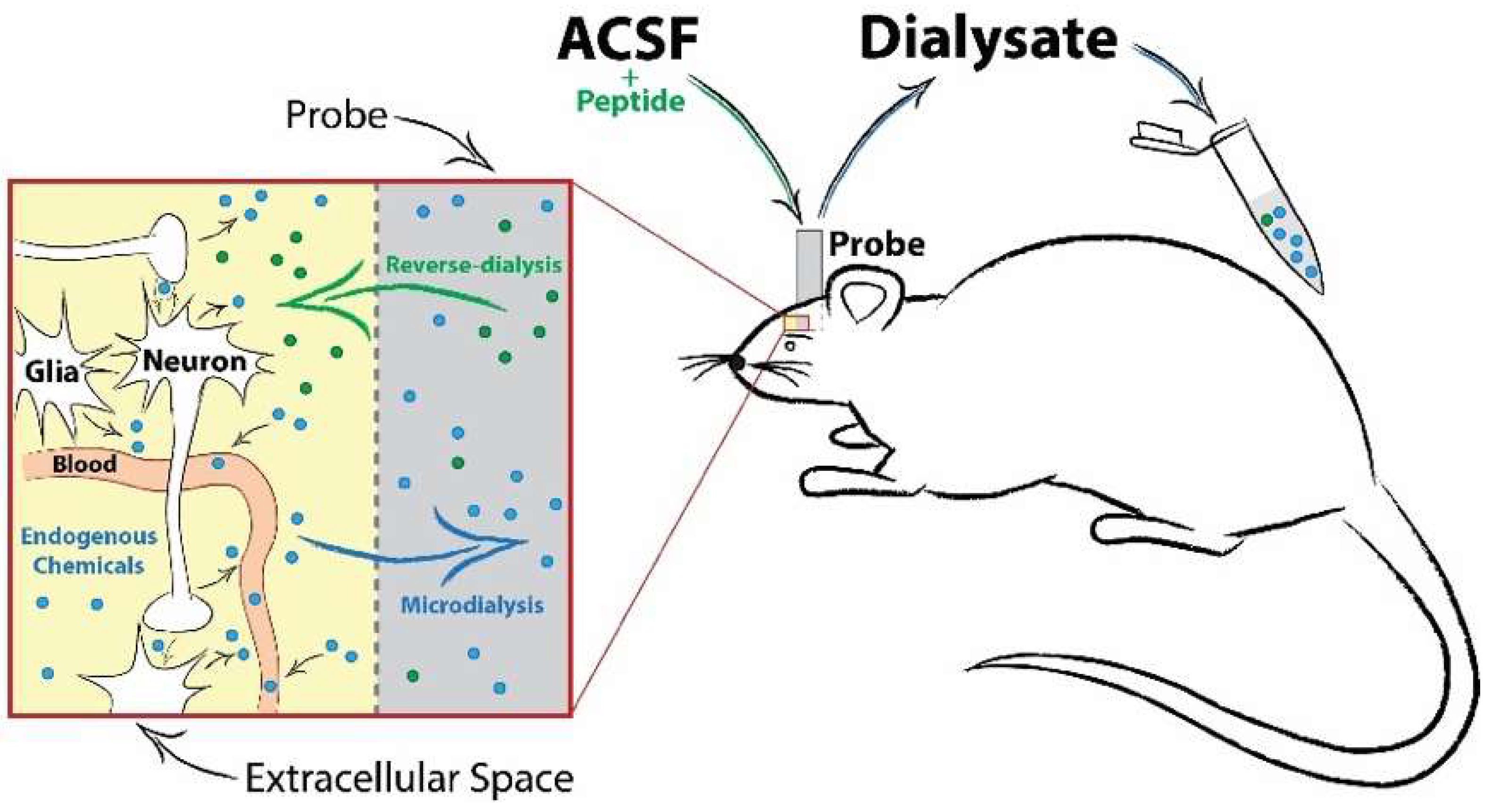 Proteomes 06 00050 g002 Proteomes 06 00050 g002