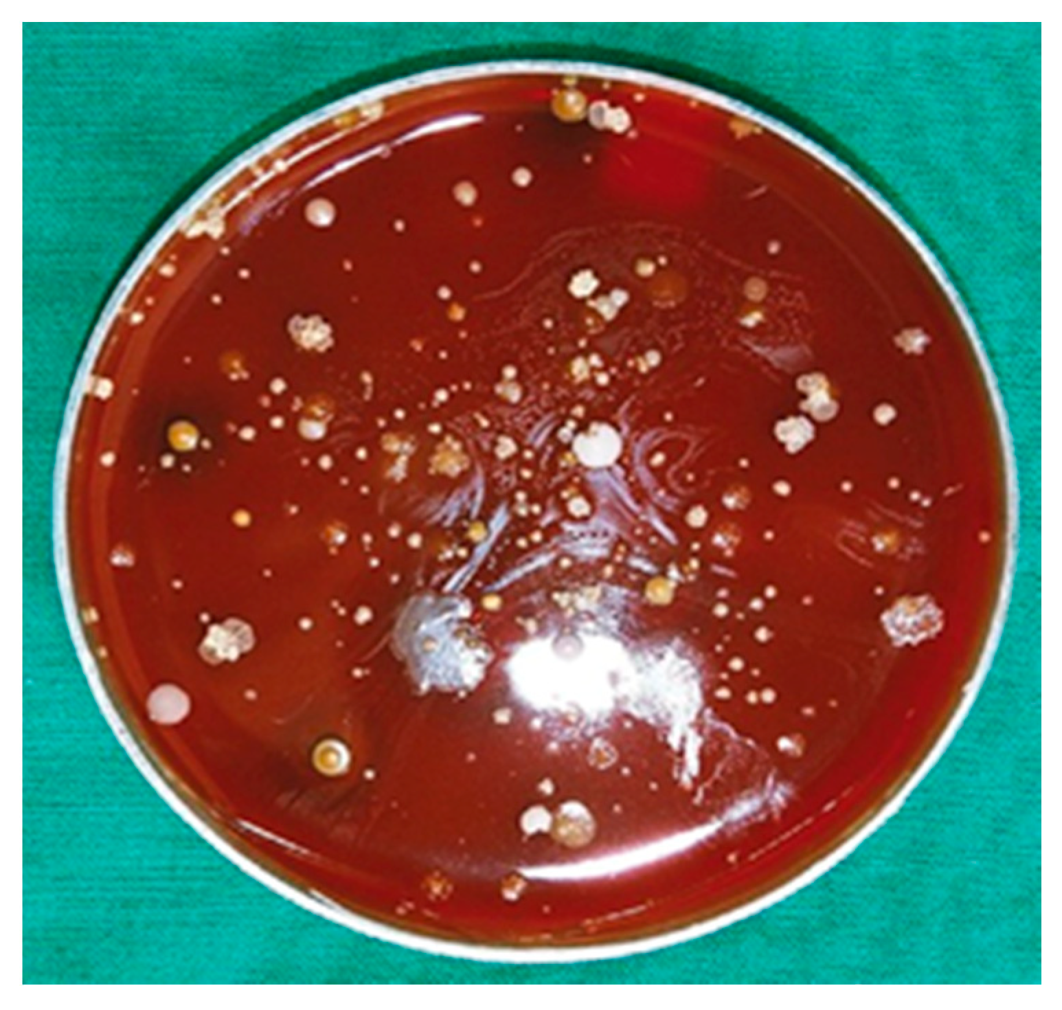 Proteomes 06 00052 g002