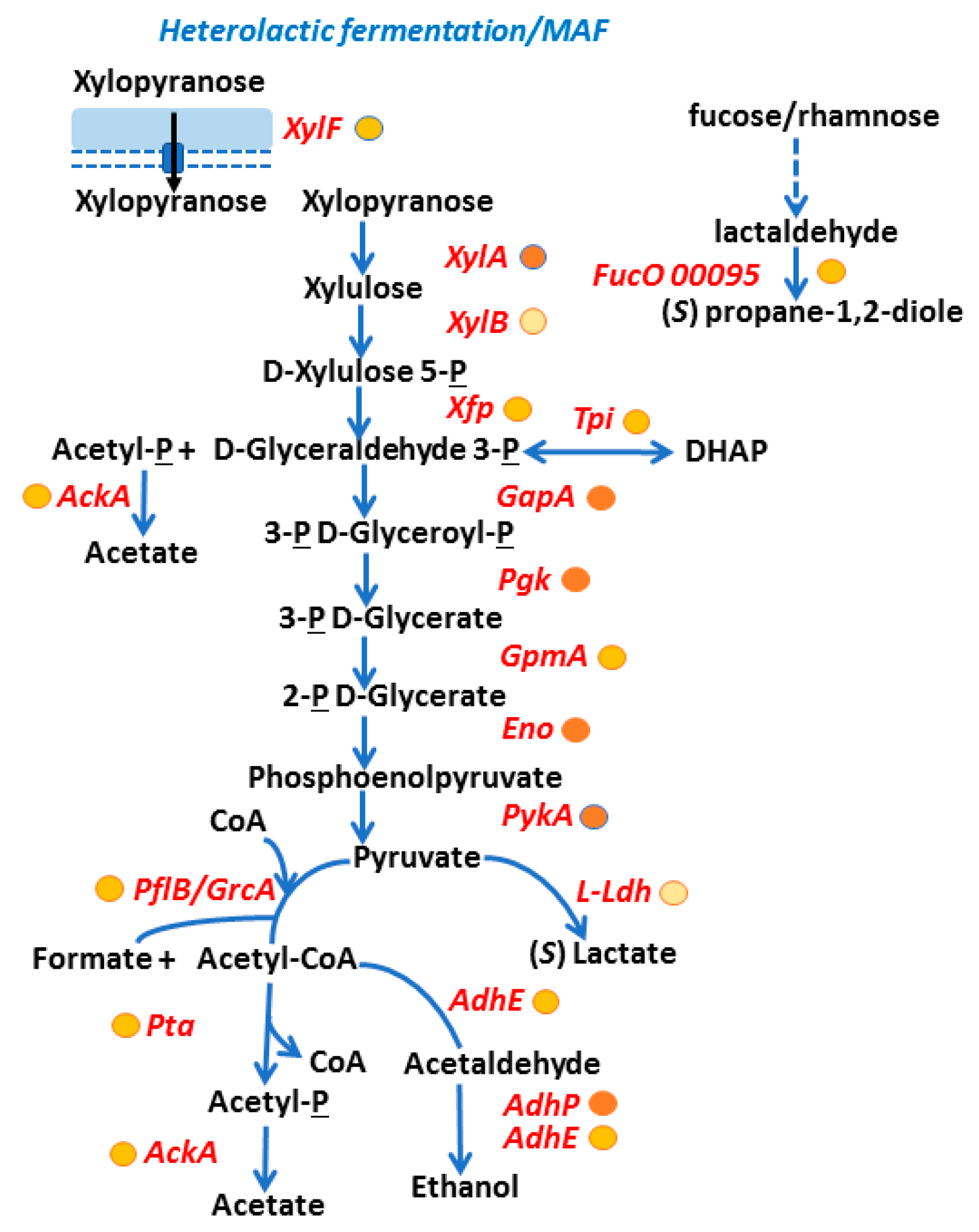 Proteomes 06 00052 g005