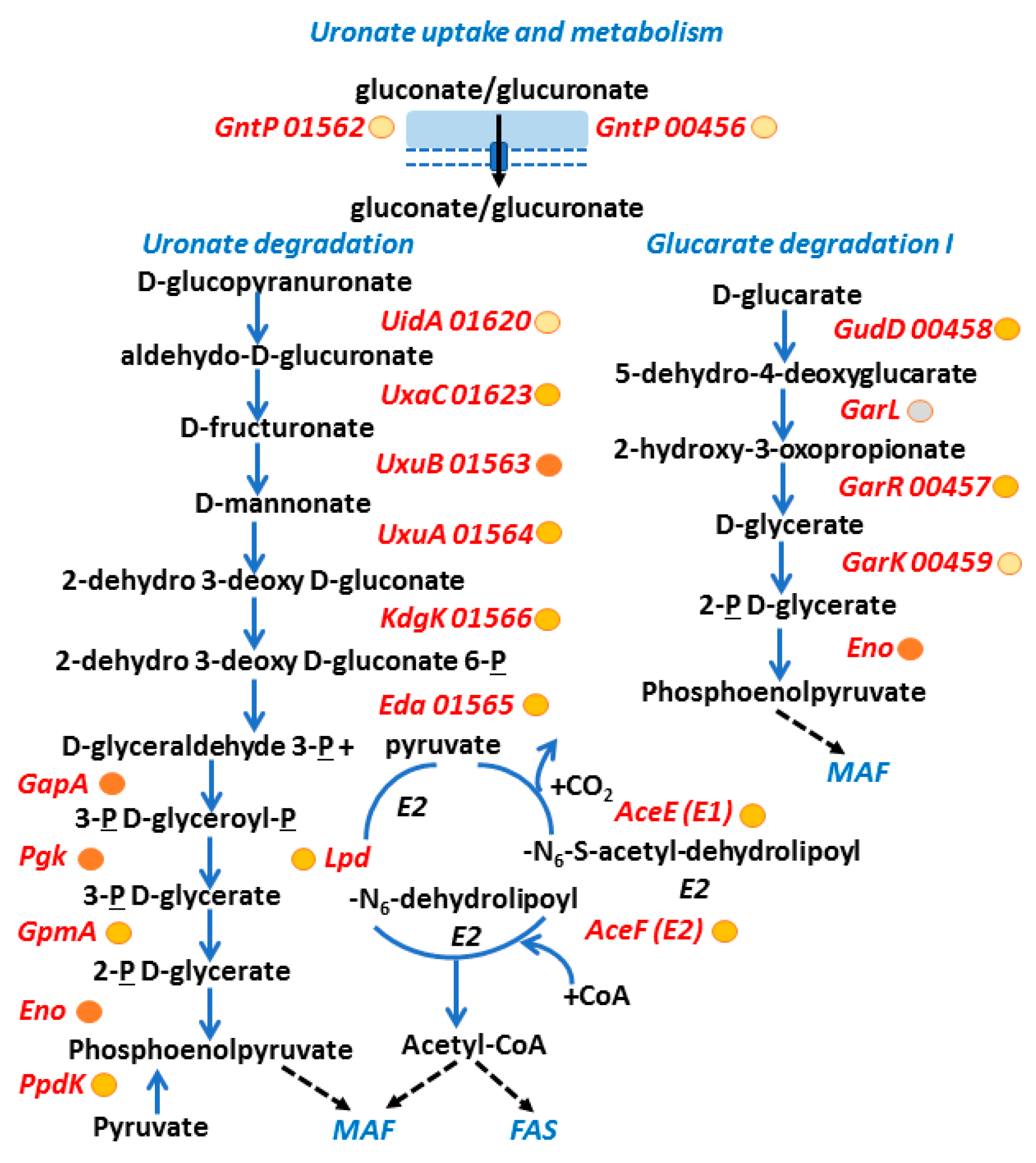 Proteomes 06 00052 g006