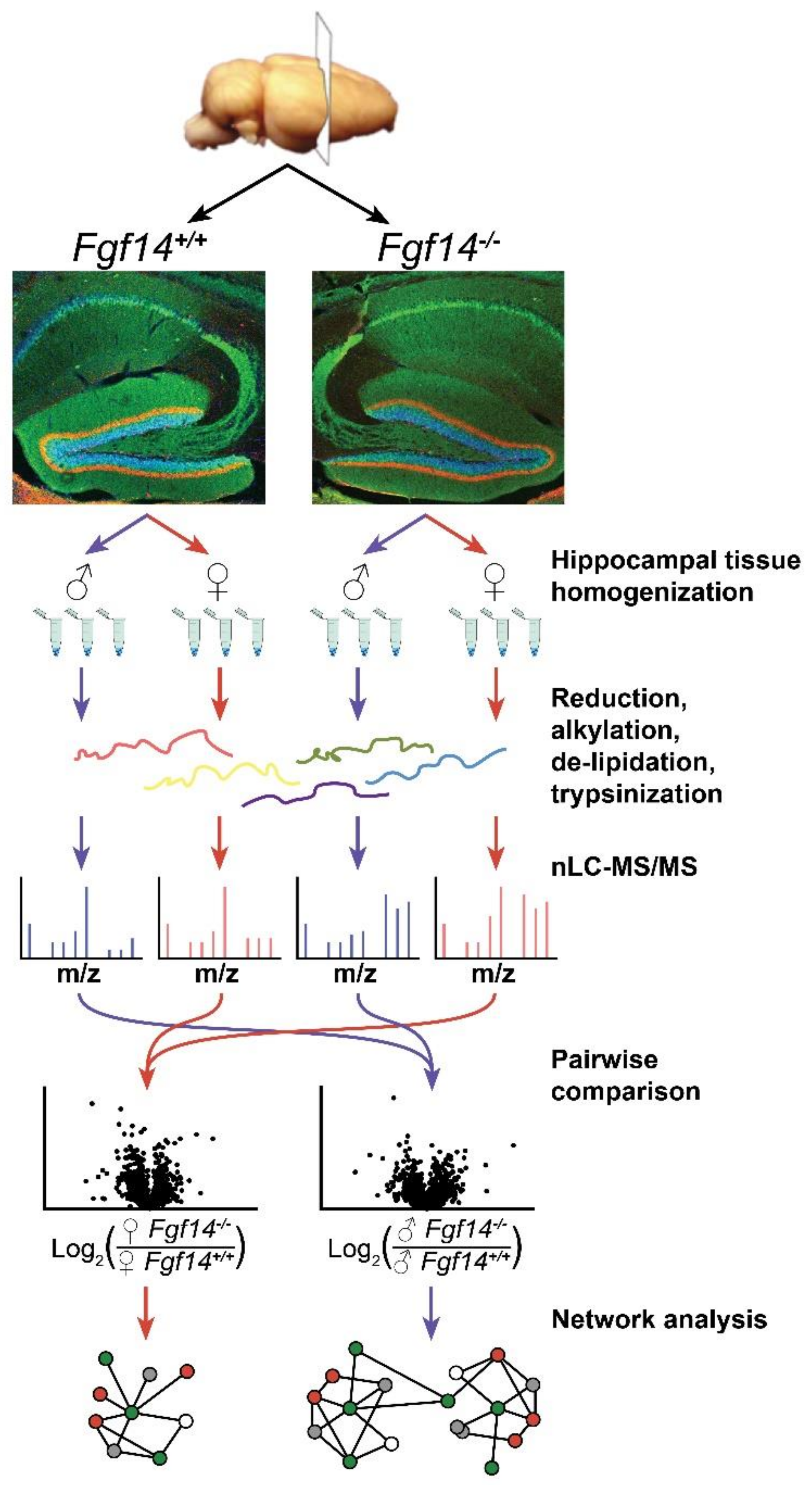 Proteomes 07 00005 g001