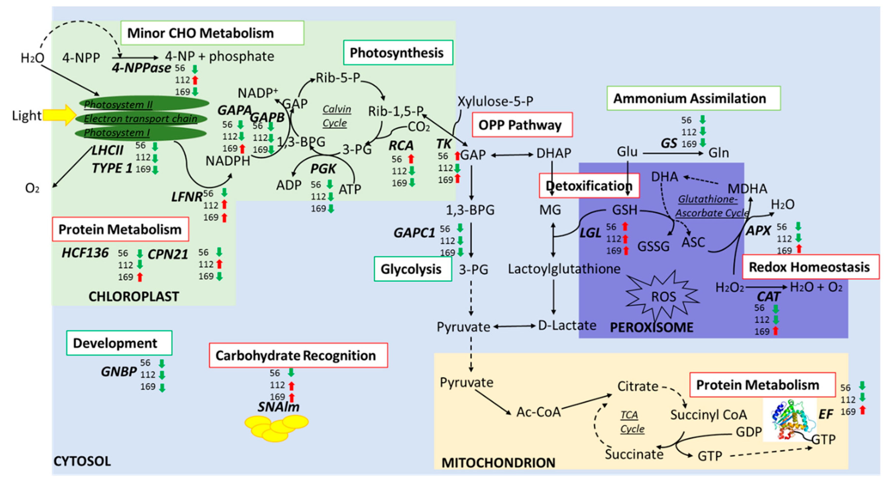Proteomes 07 00010 g004