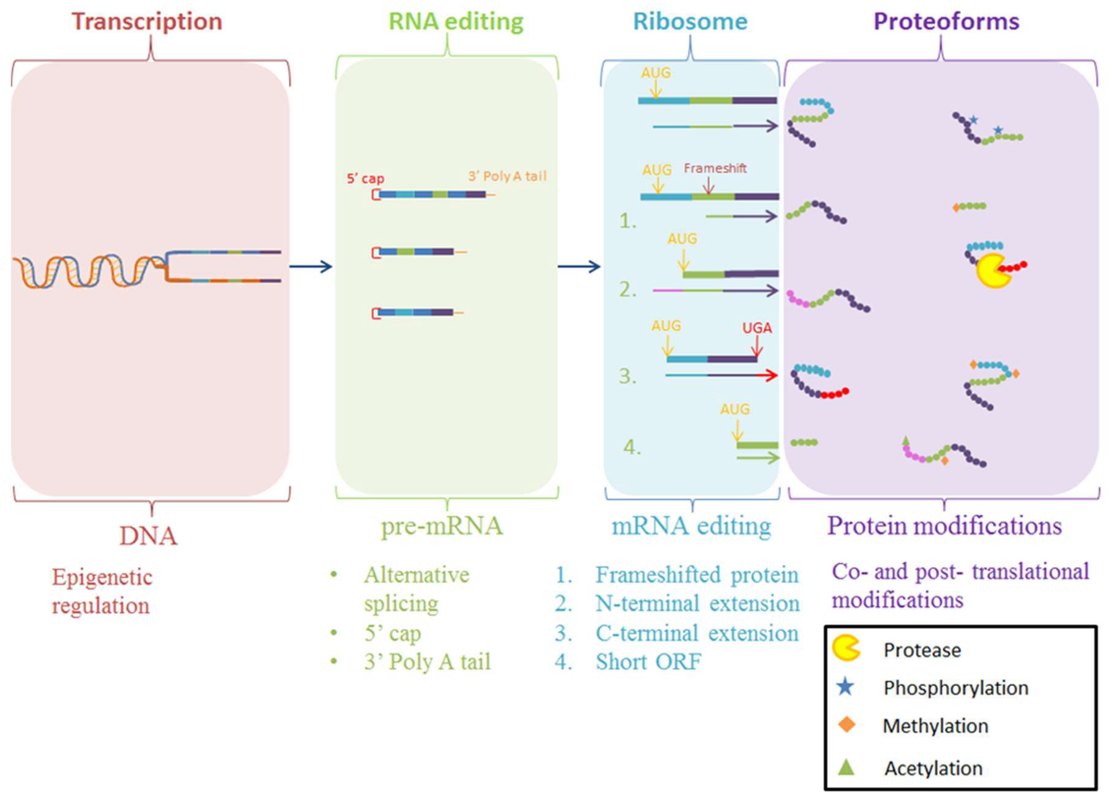 Proteomes 07 00011 g001
