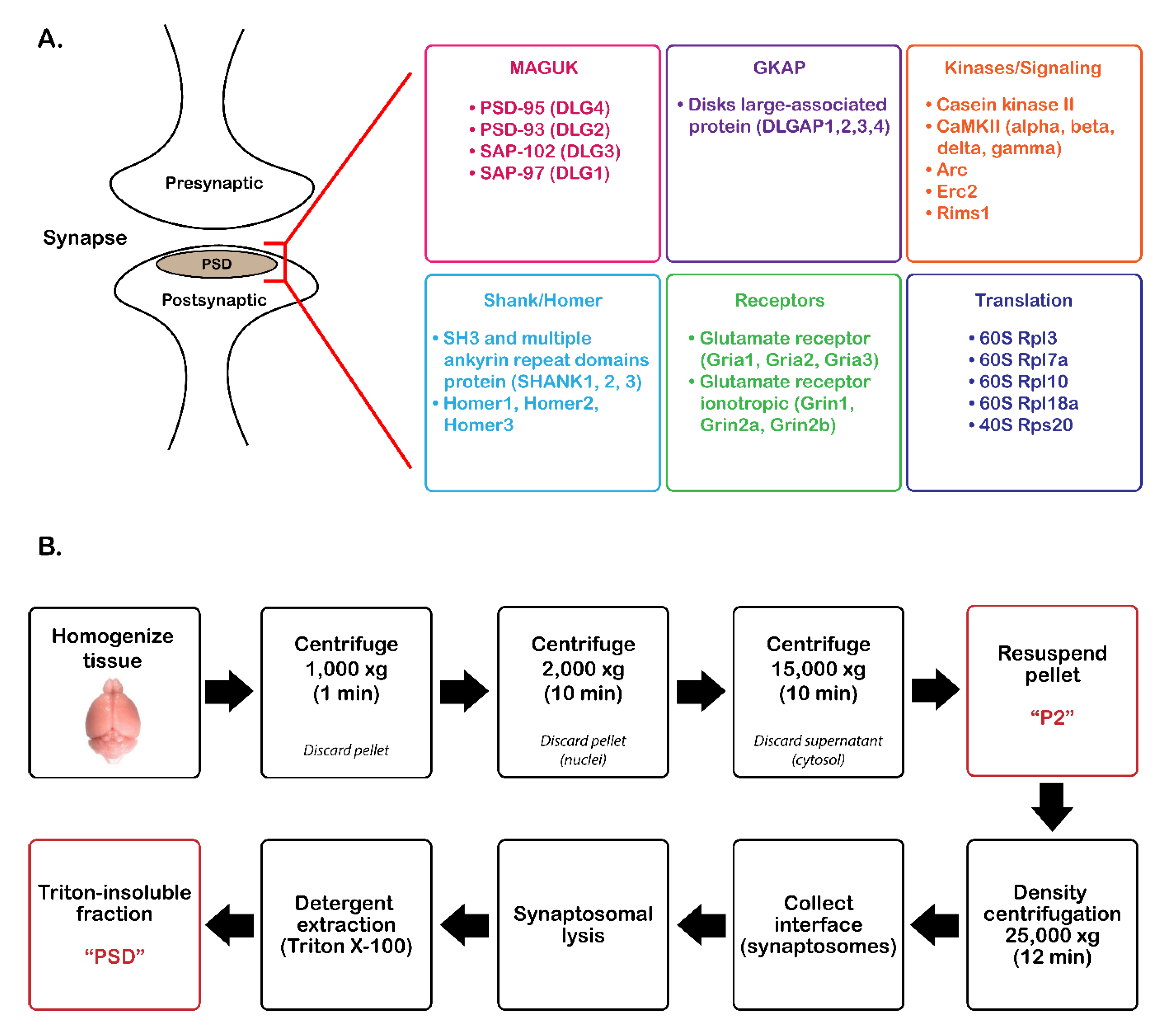 Proteomes 07 00012 g001