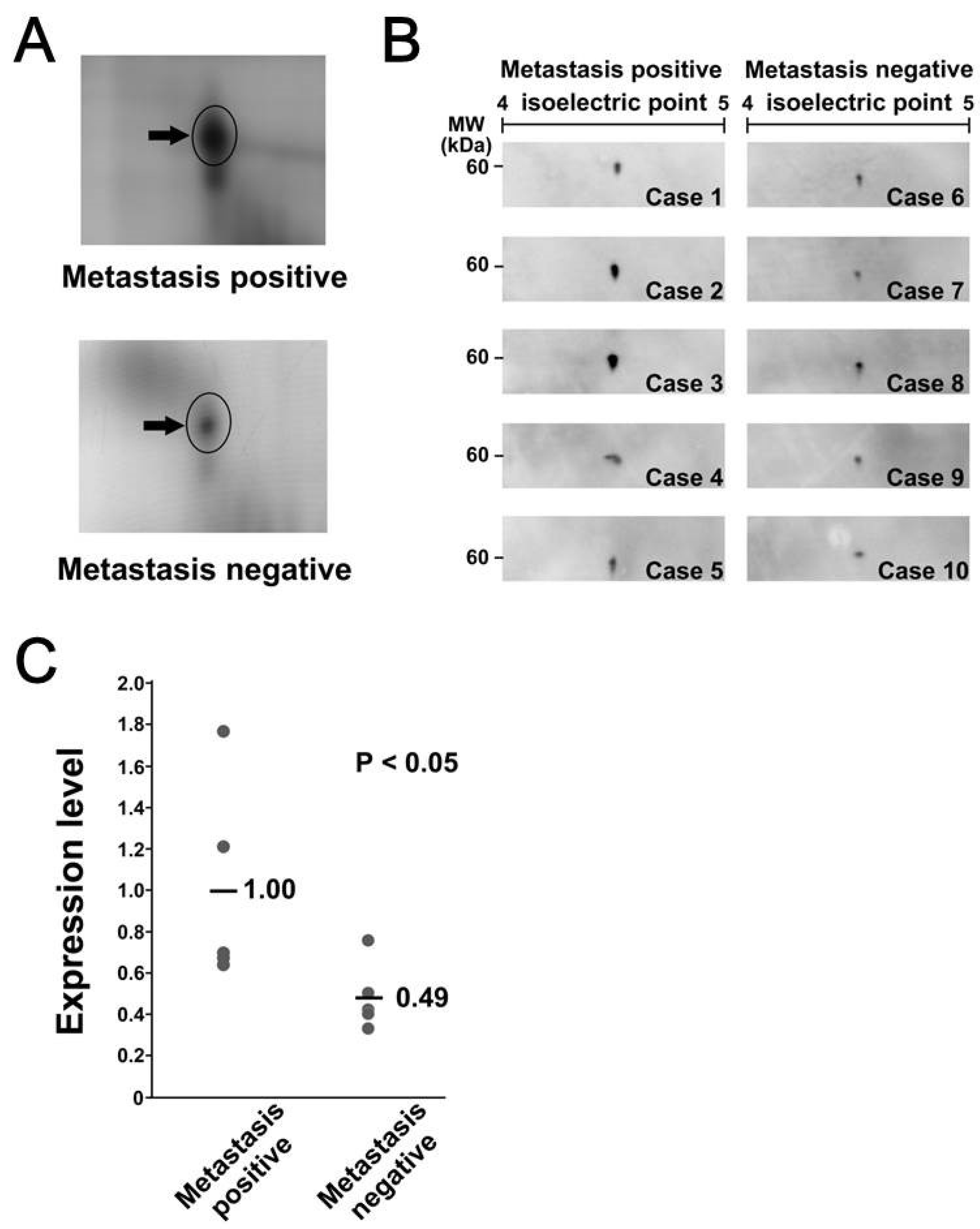 Proteomes 07 00013 g003
