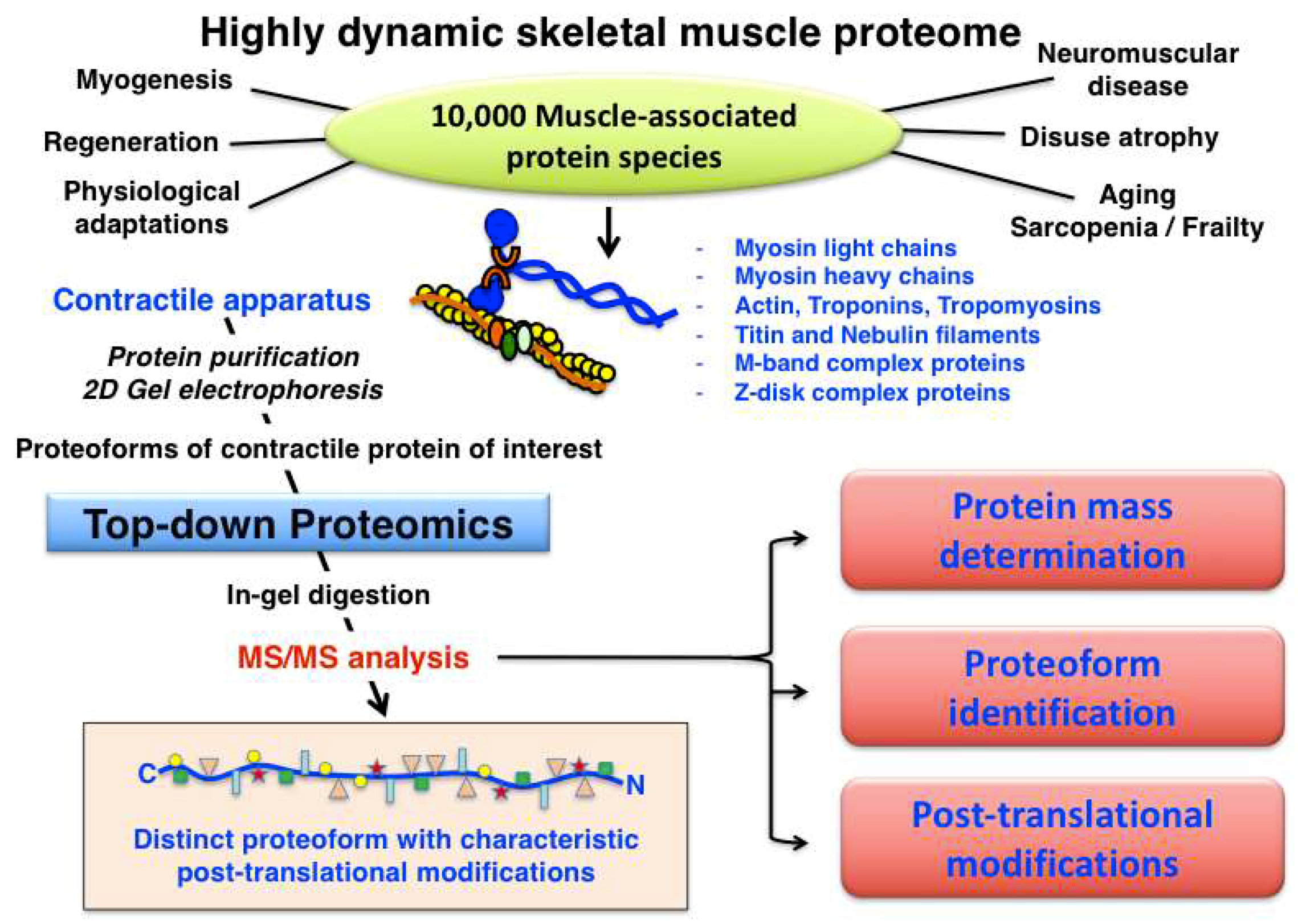 Proteomes 07 00025 g004