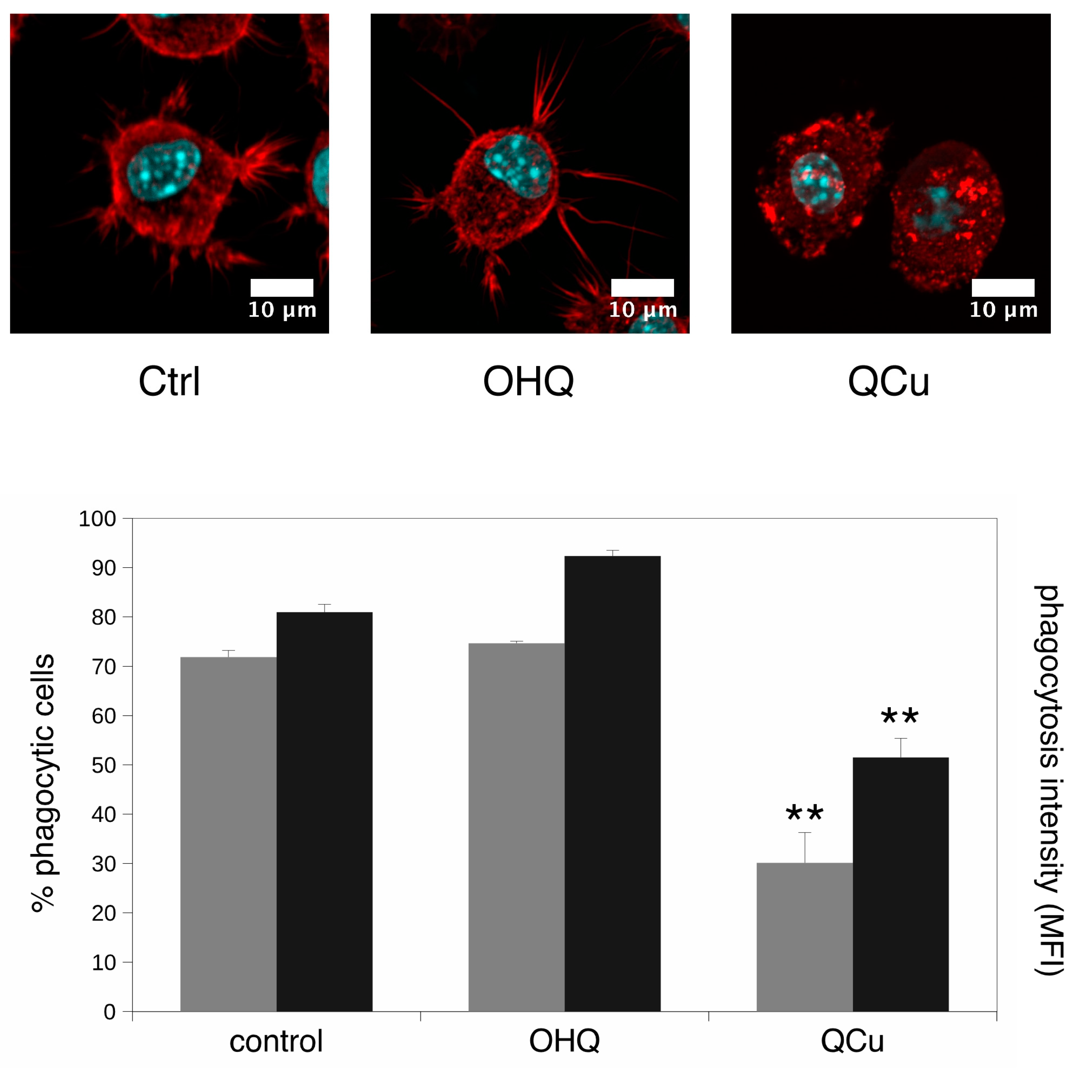 Proteomes 07 00026 g006