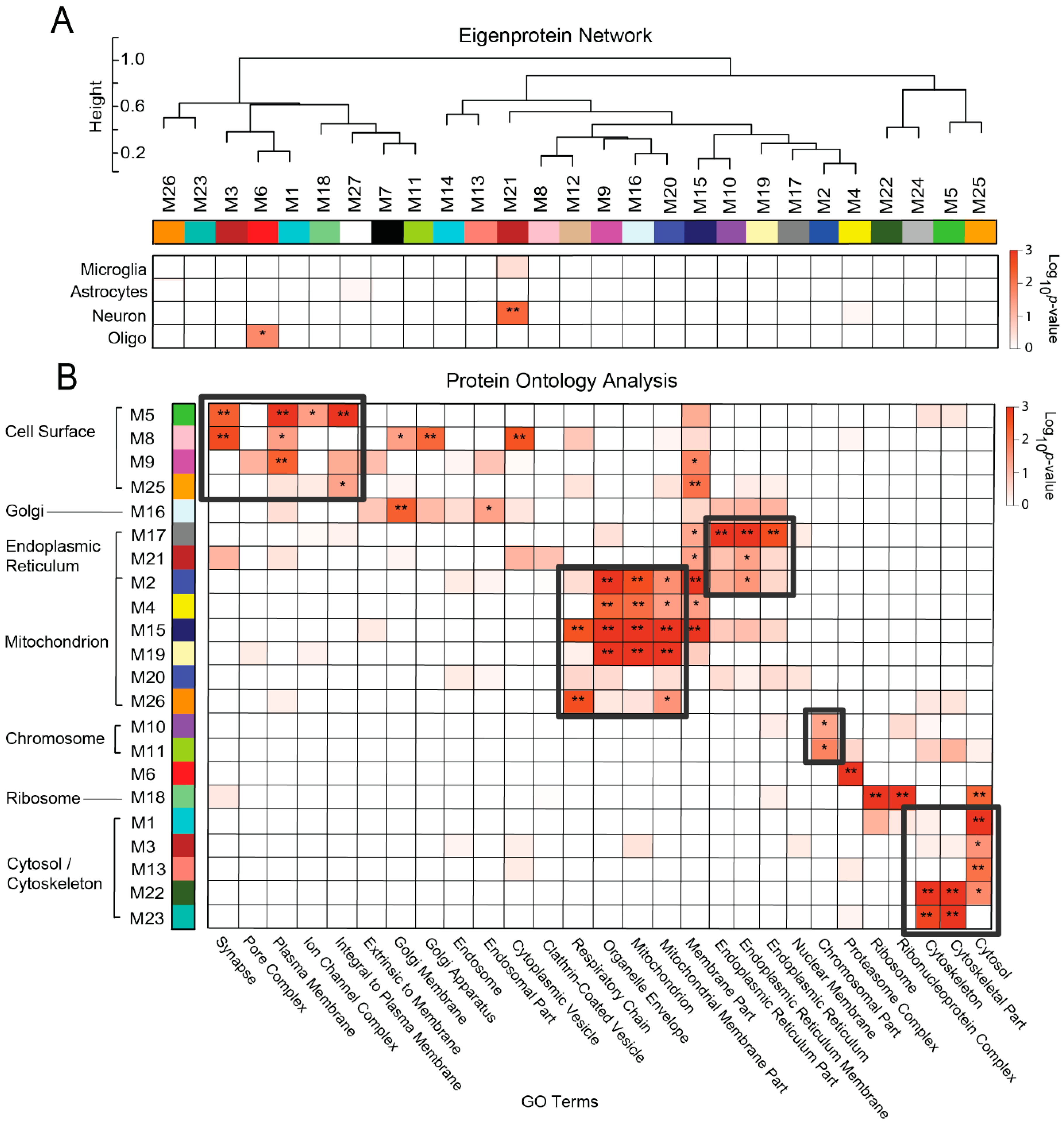 Proteomes 07 00030 g003