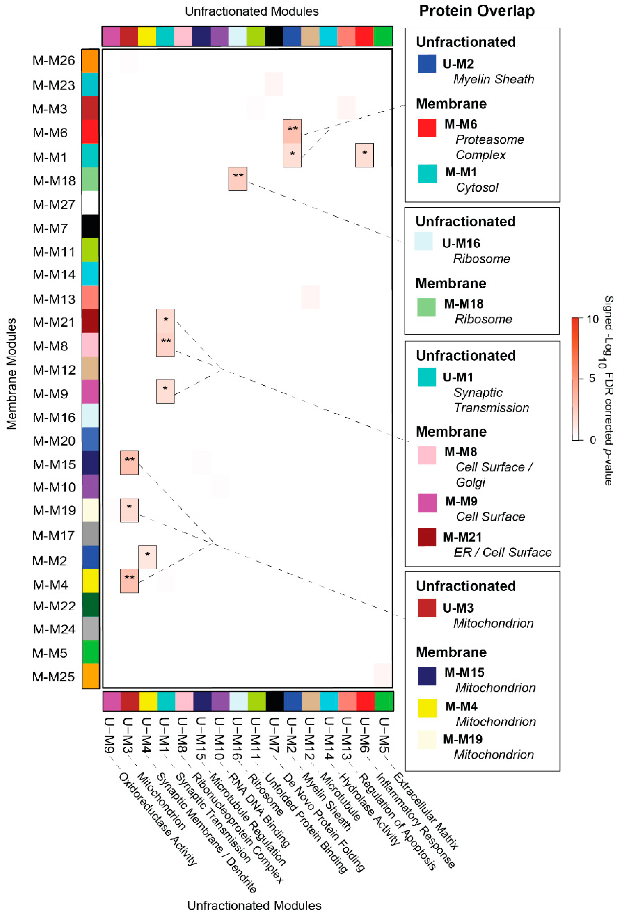 Proteomes 07 00030 g004