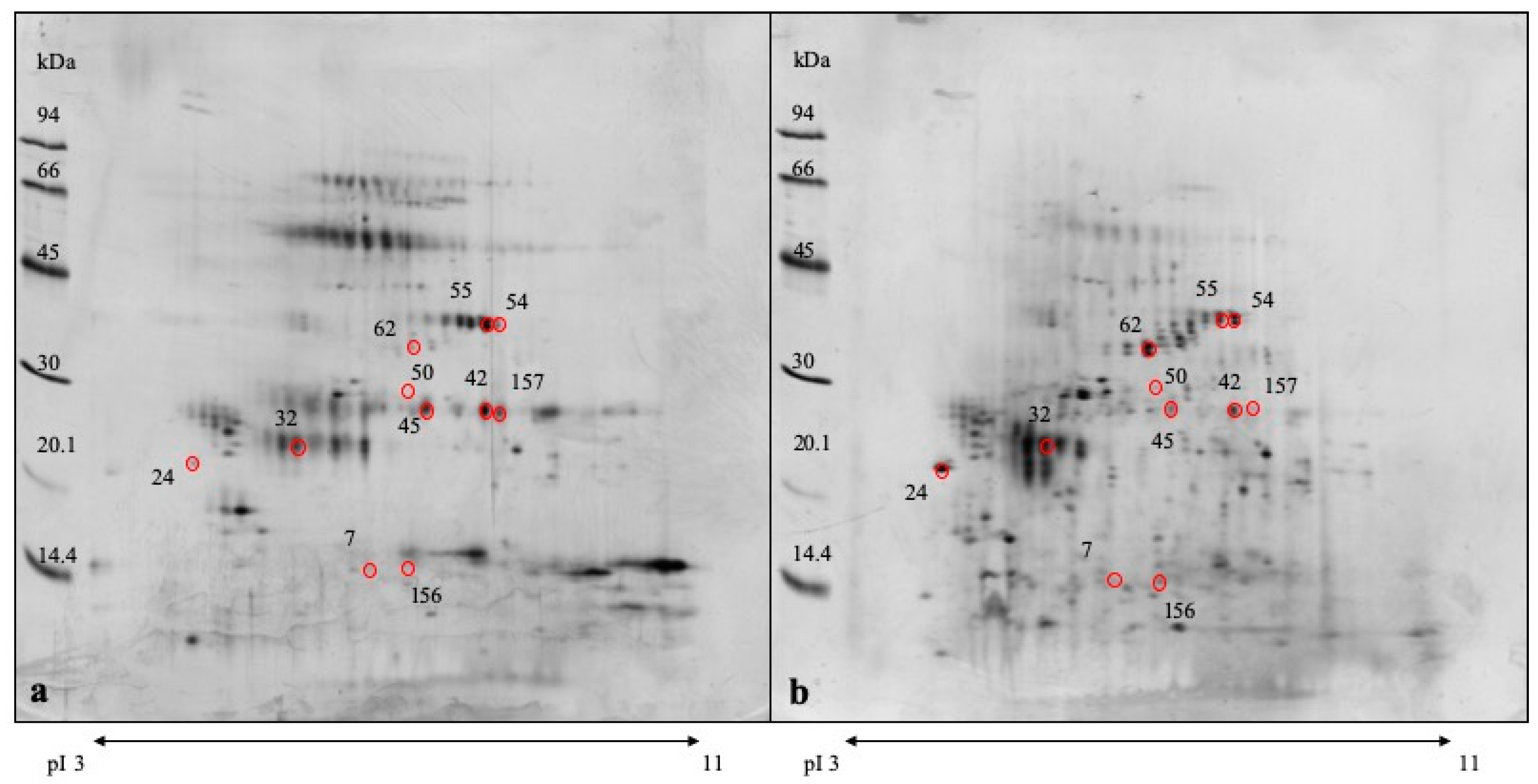 Proteomes 07 00031 g001