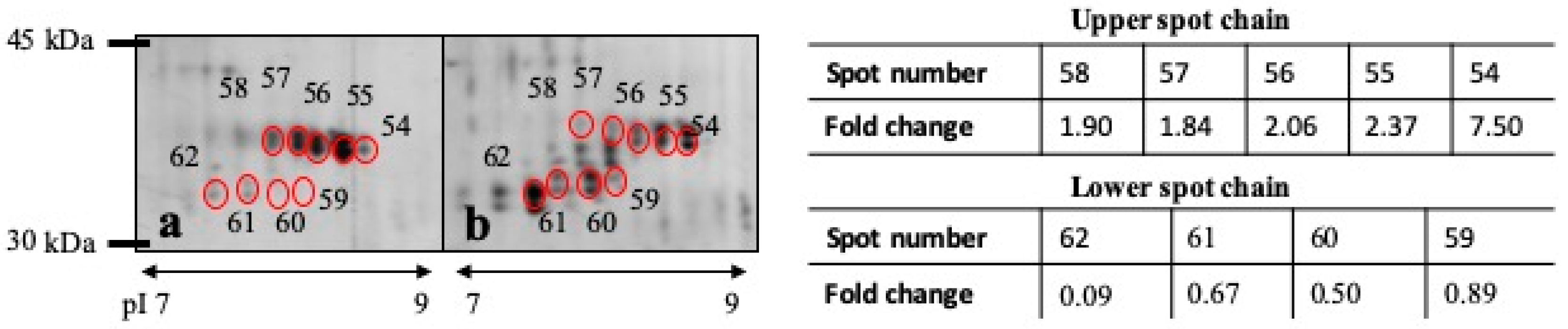 Proteomes 07 00031 g002