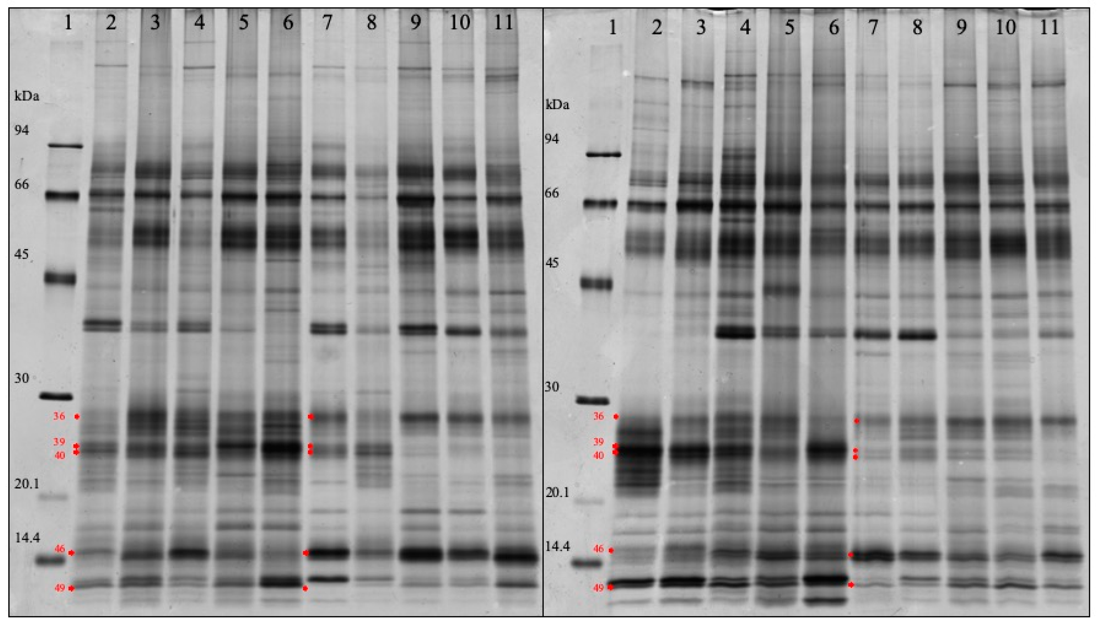 Proteomes 07 00031 g003