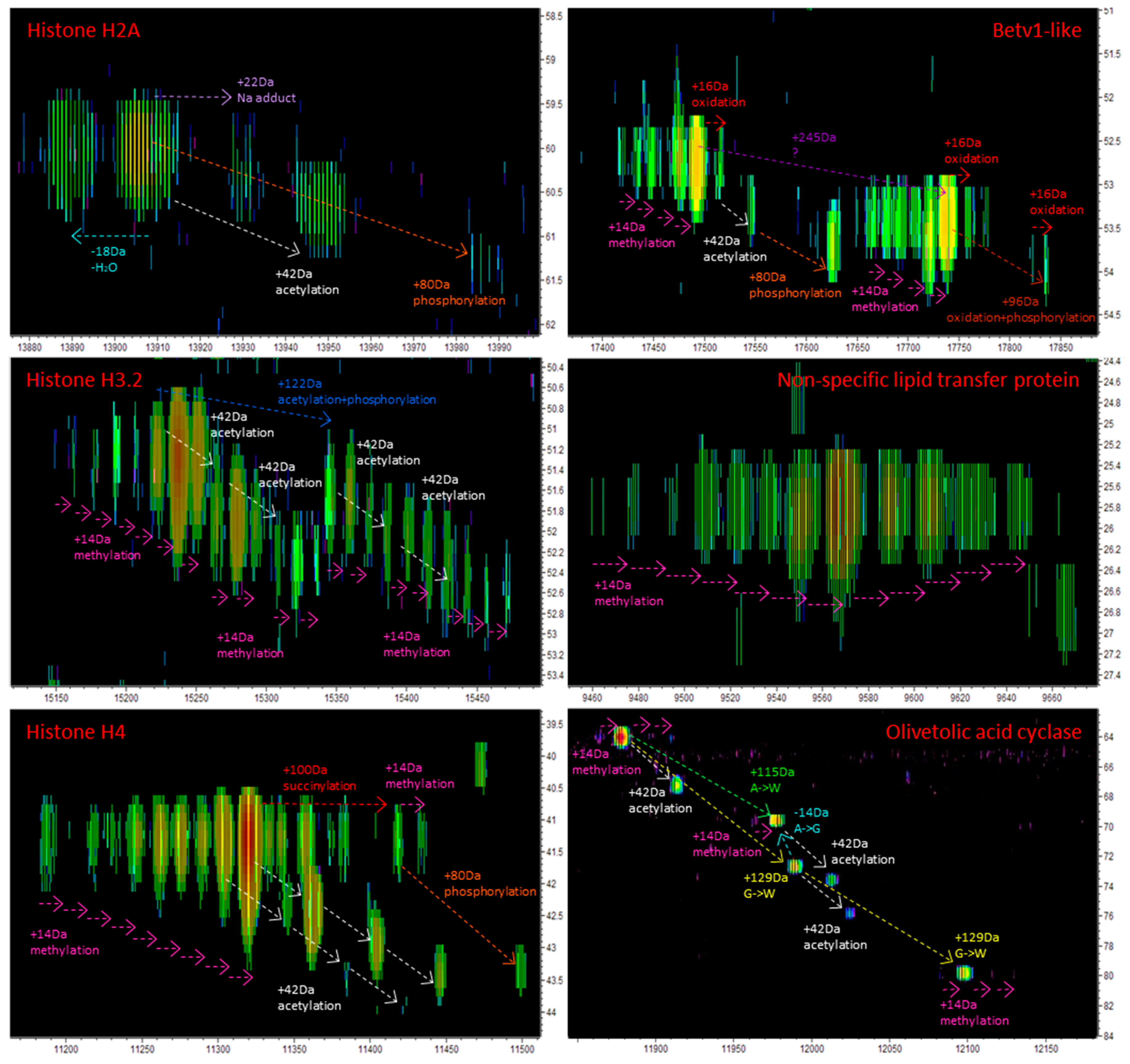 Proteomes 07 00033 g007
