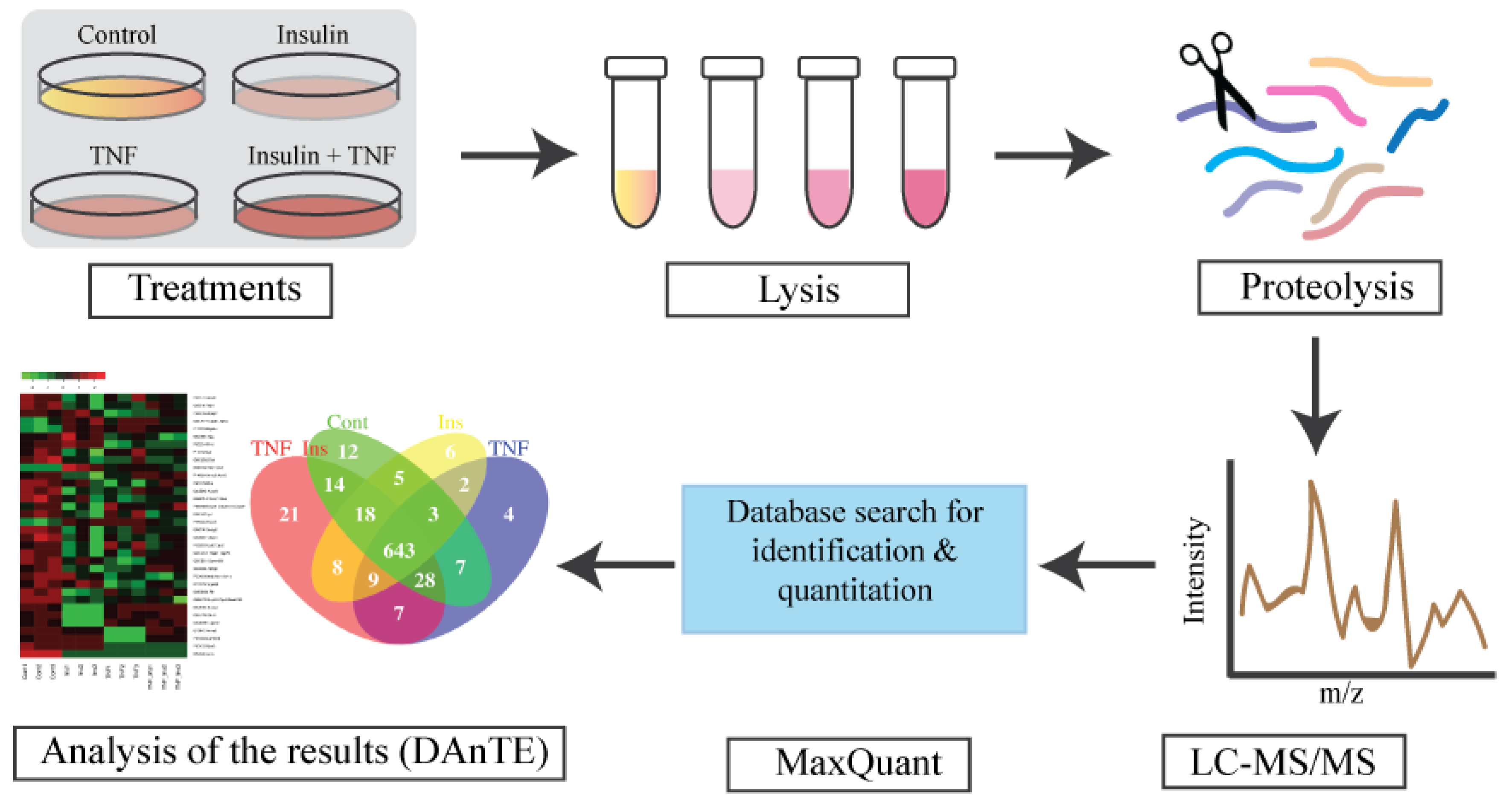 Proteomes 07 00035 g001