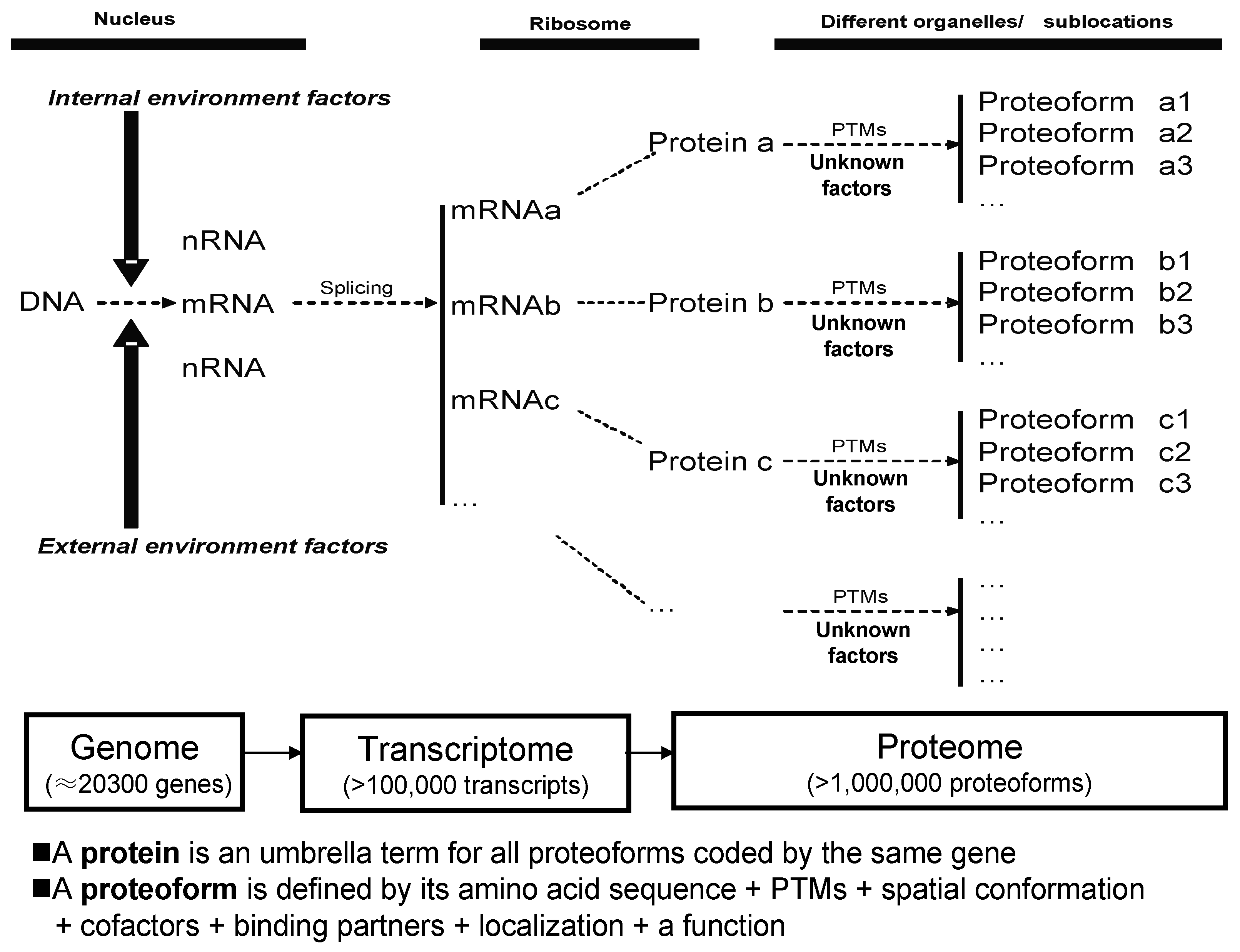 Proteomes 07 00036 g001