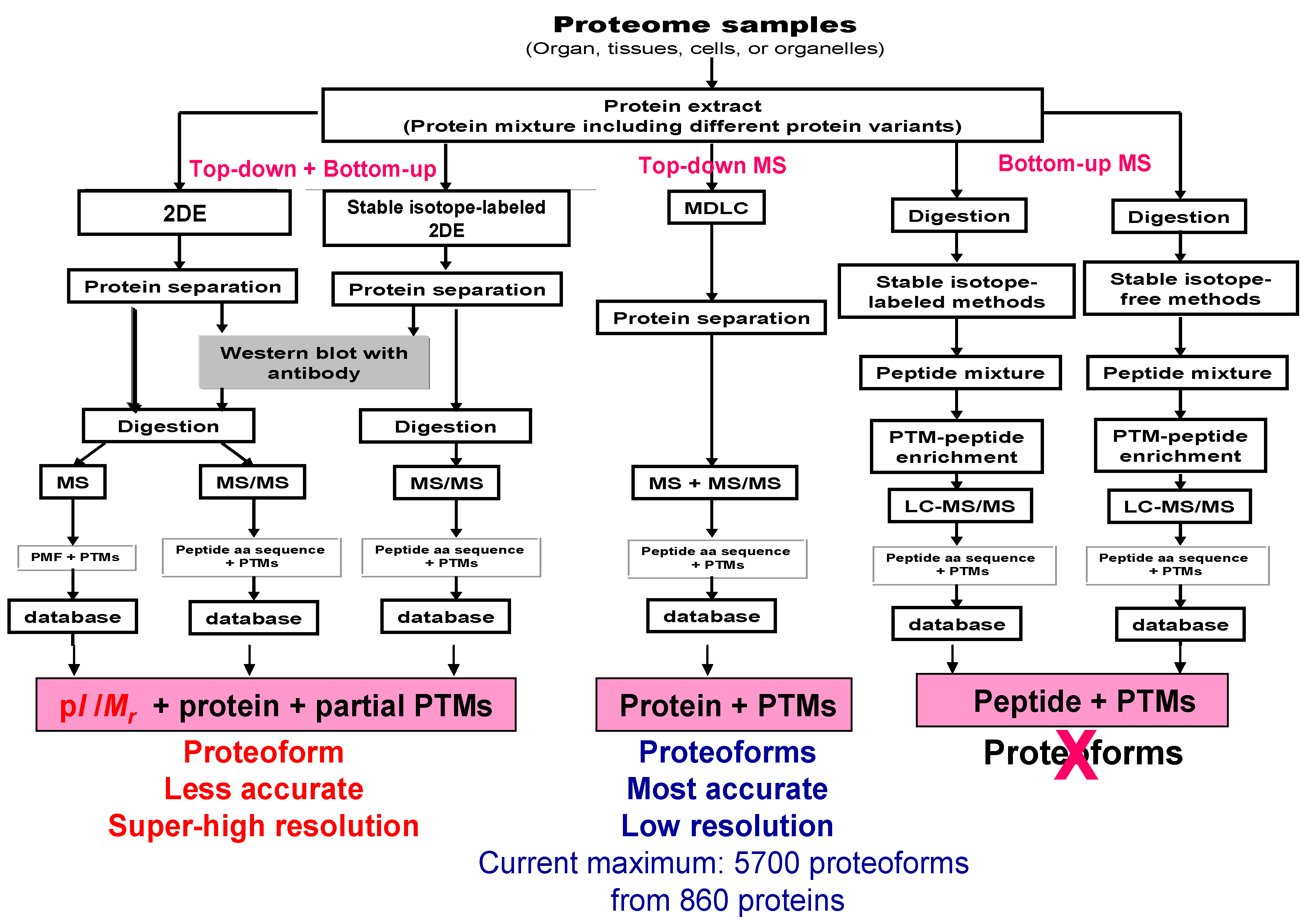 Proteomes 07 00036 g005