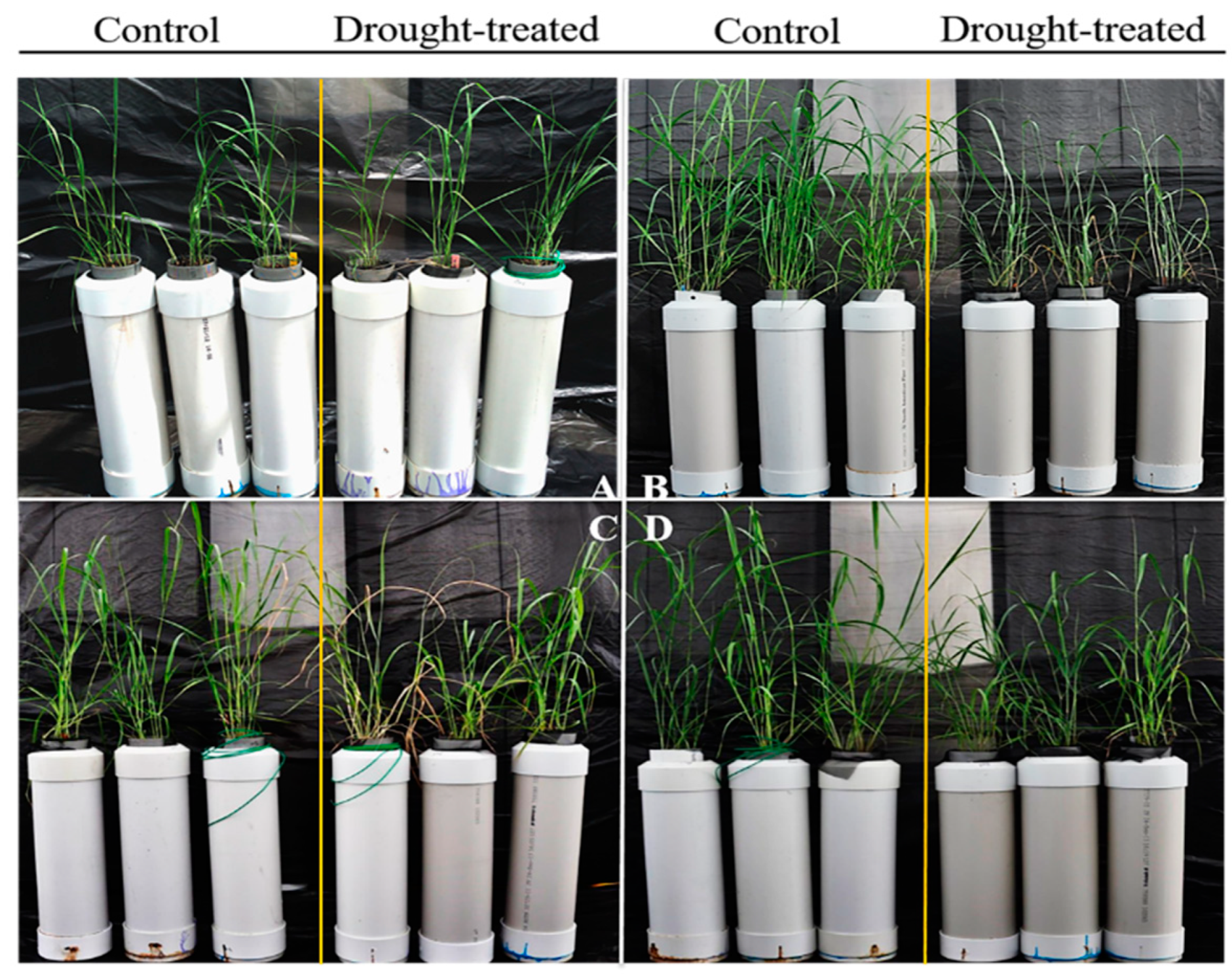Proteomes 08 00003 g002 Proteomes 08 00003 g002