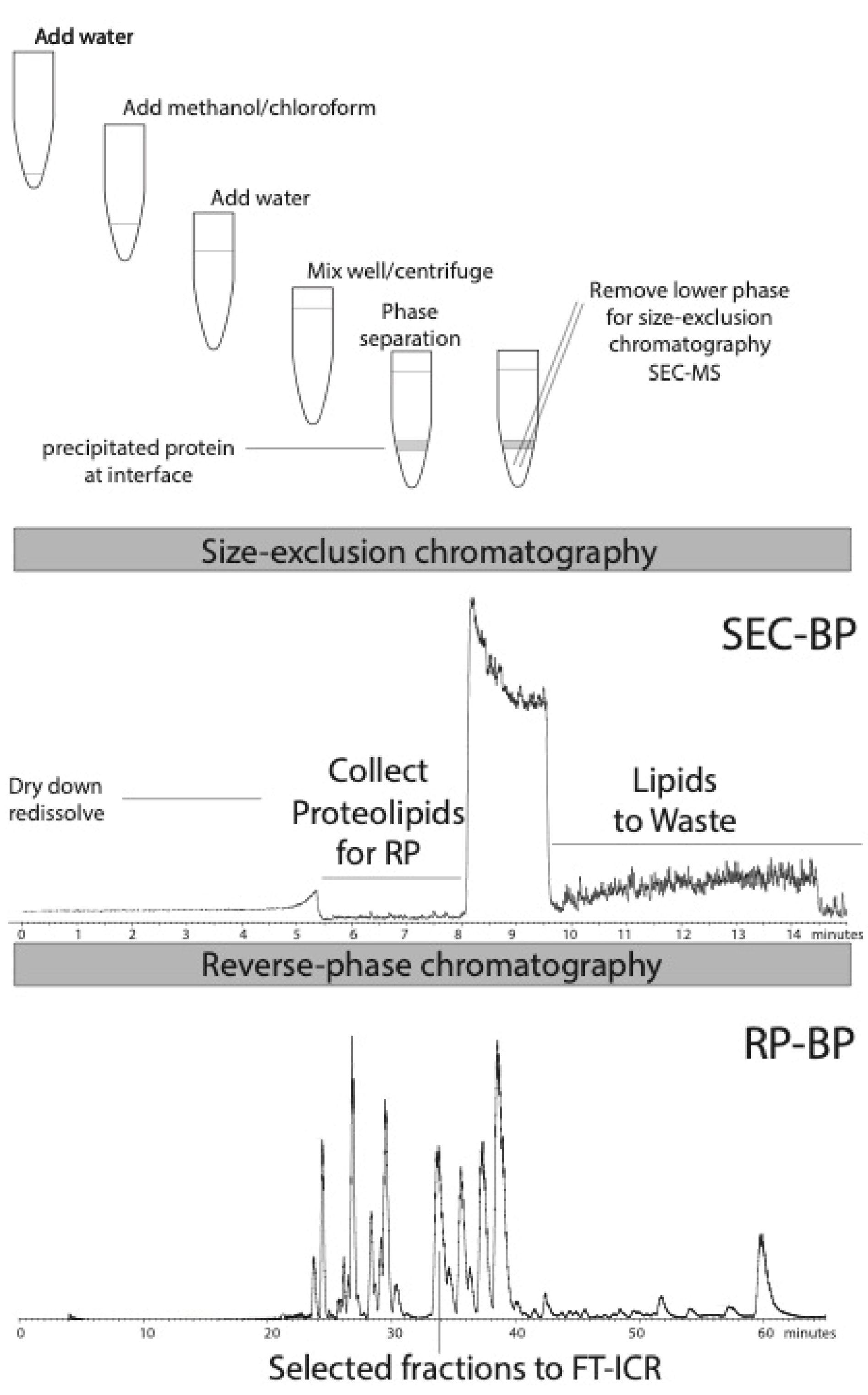Proteomes 08 00005 g001