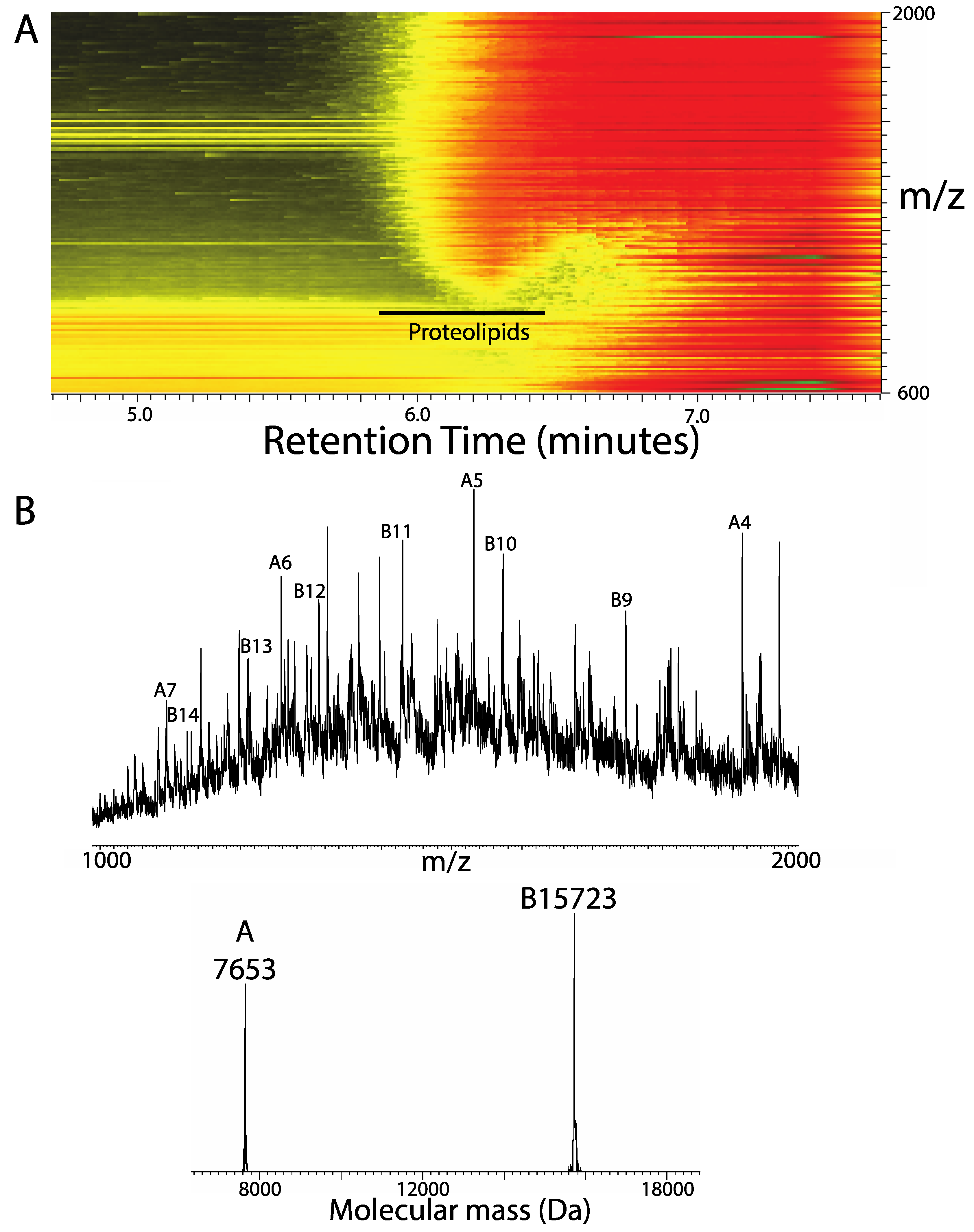 Proteomes 08 00005 g004
