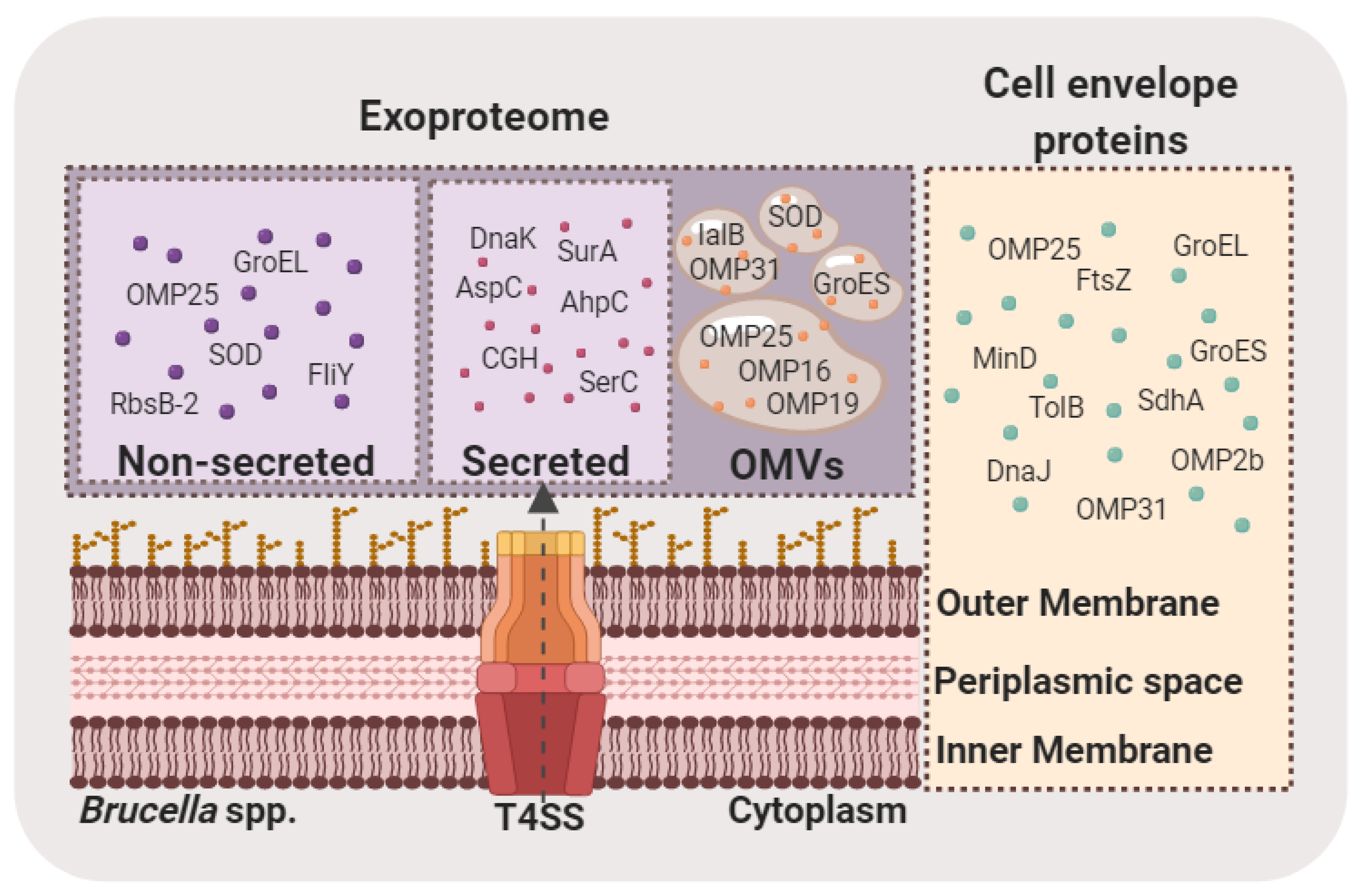 Proteomes 08 00008 g001