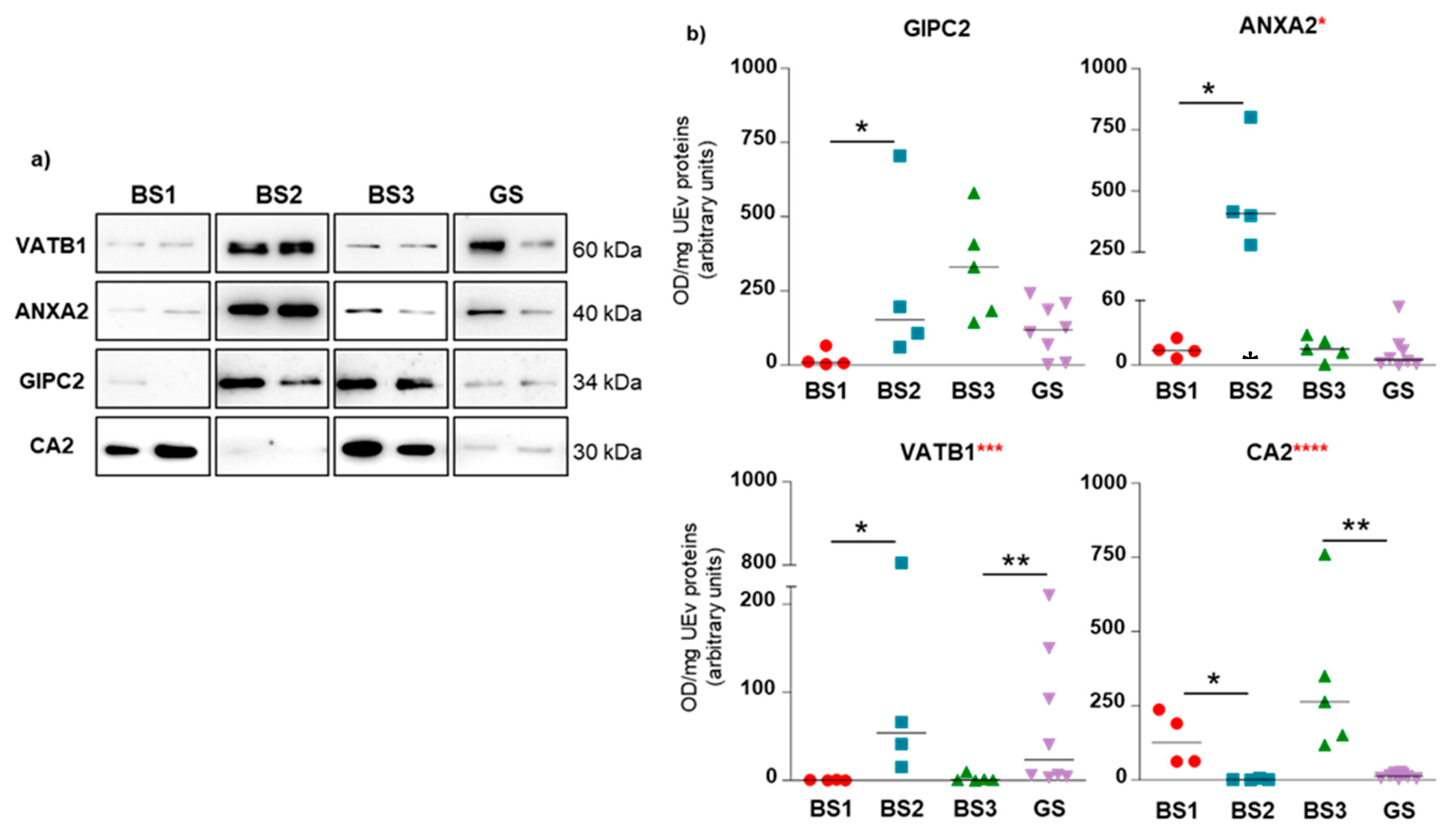 Proteomes 08 00009 g004 Proteomes 08 00009 g004