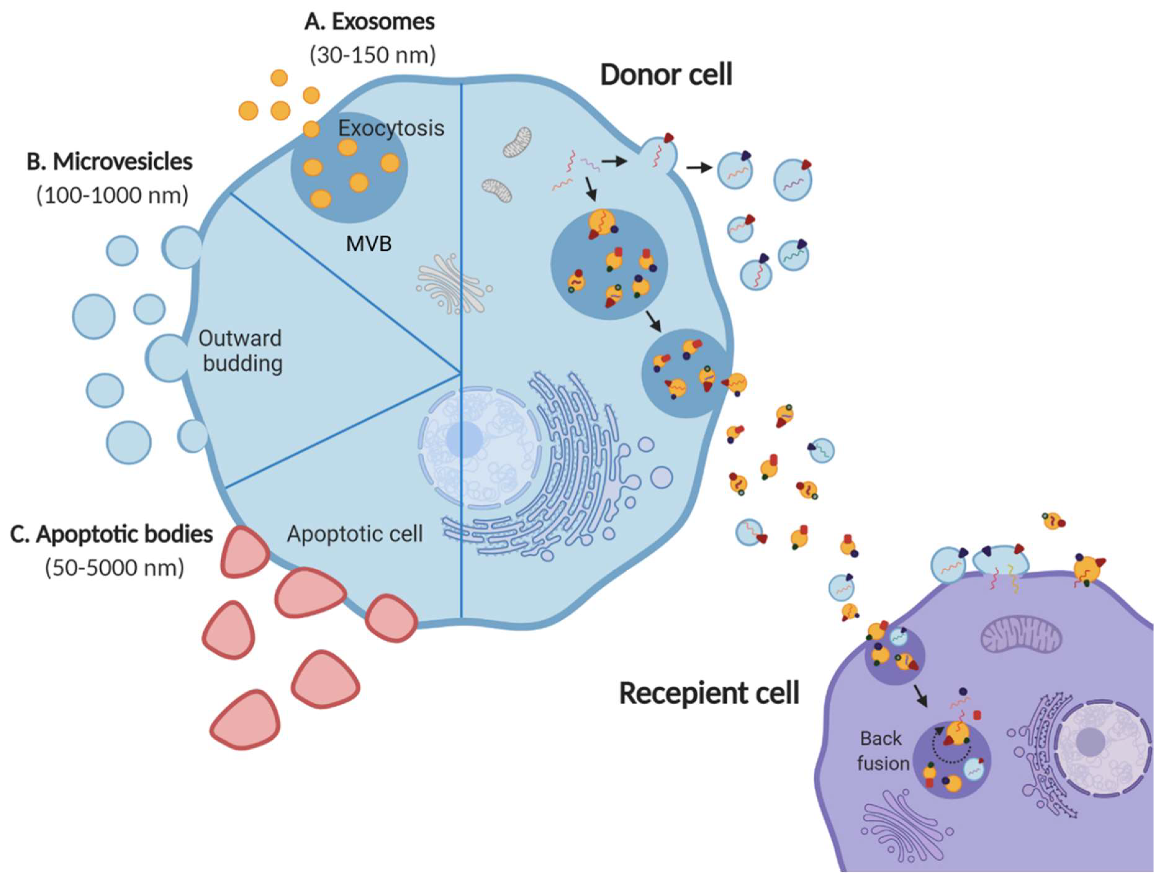 Proteomes 08 00011 g001