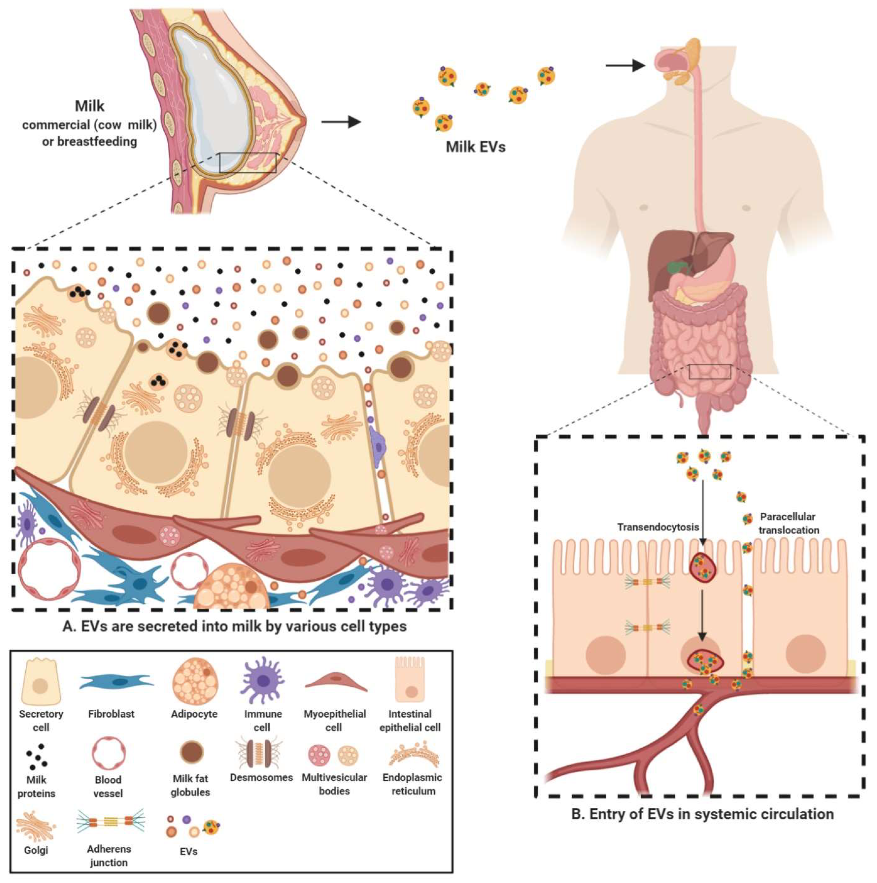 Proteomes 08 00011 g002